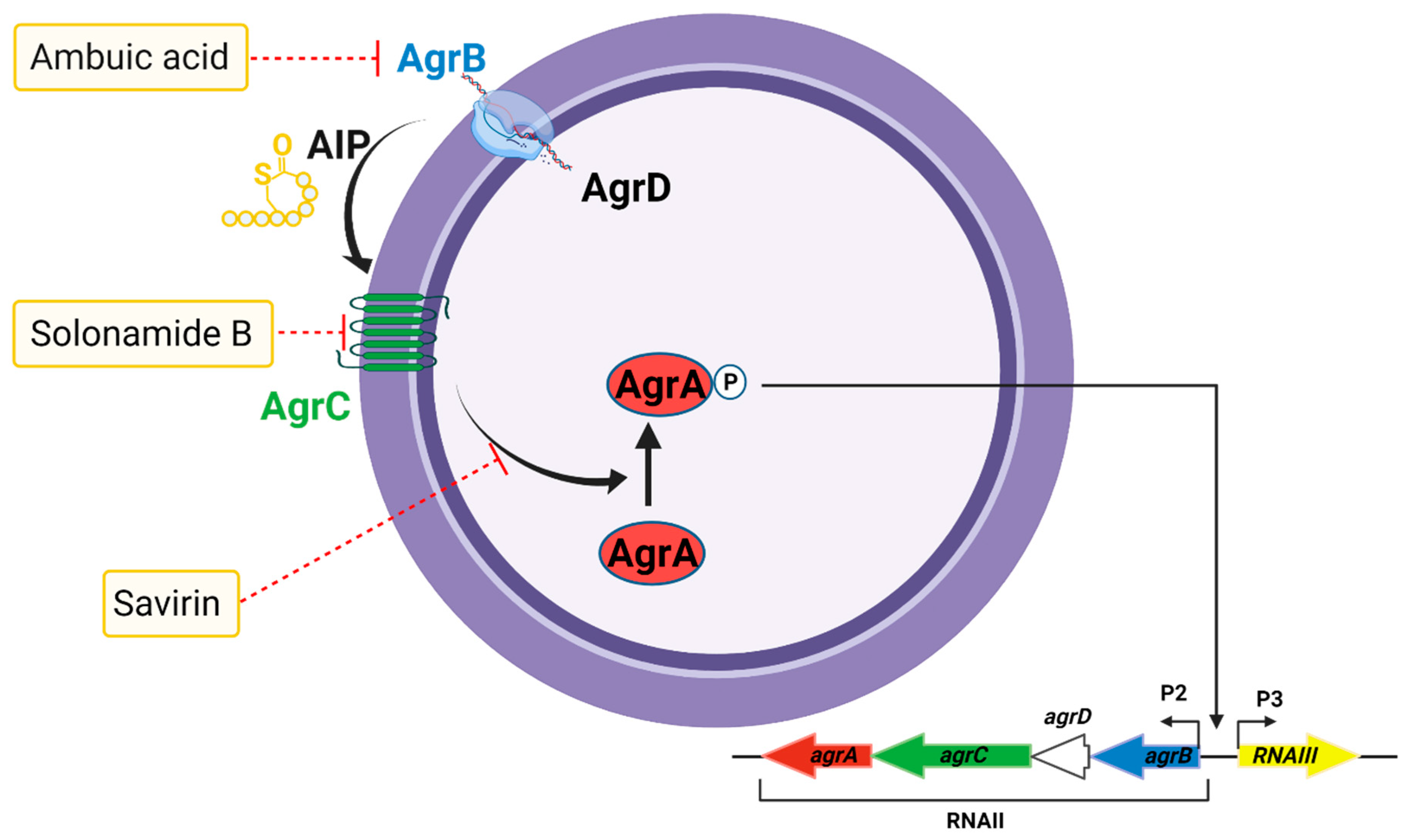 Antibiotics 10 00398 g007 Antibiotics 10 00398 g007