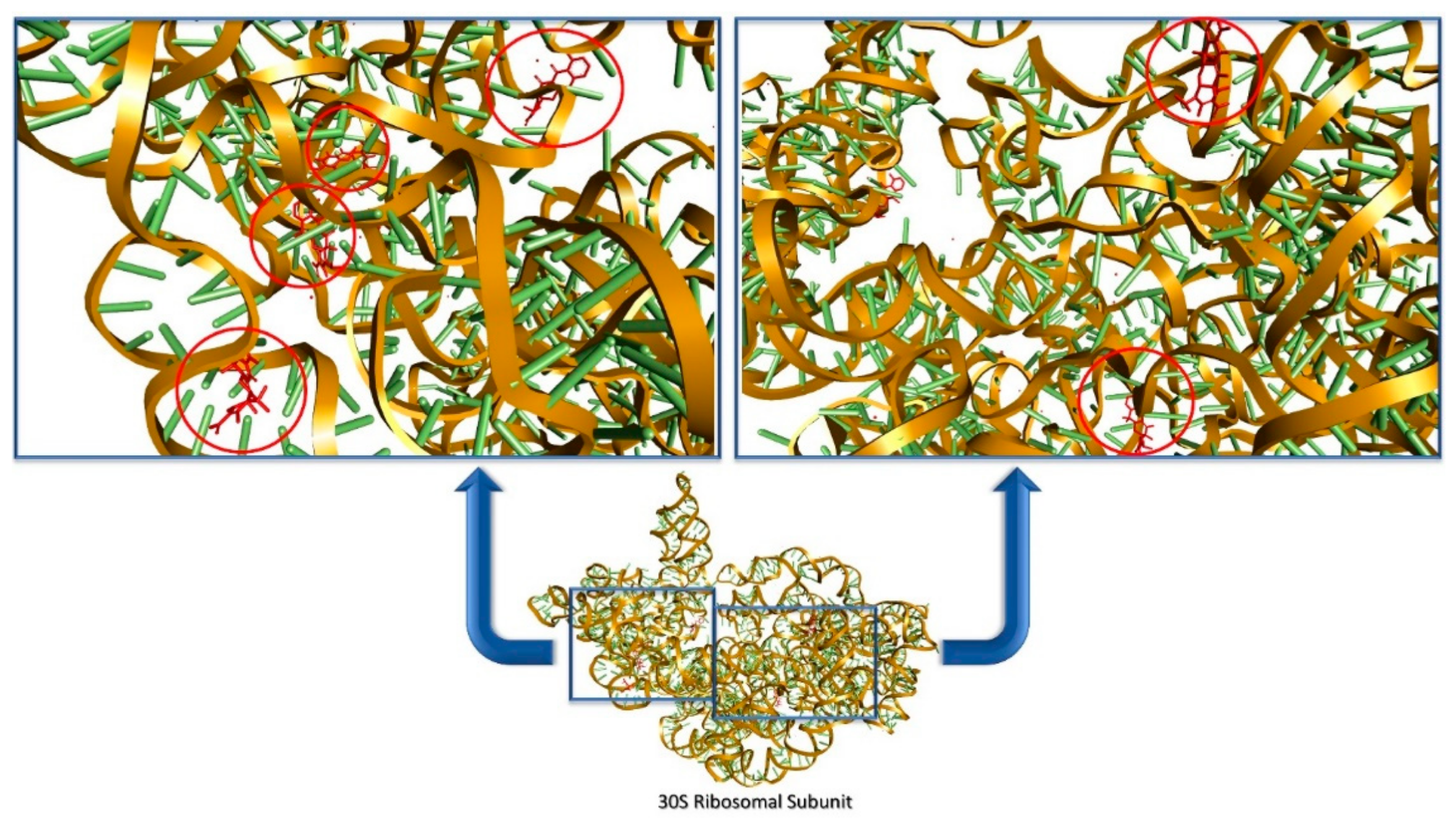 Antibiotics 10 00401 g005 Antibiotics 10 00401 g005