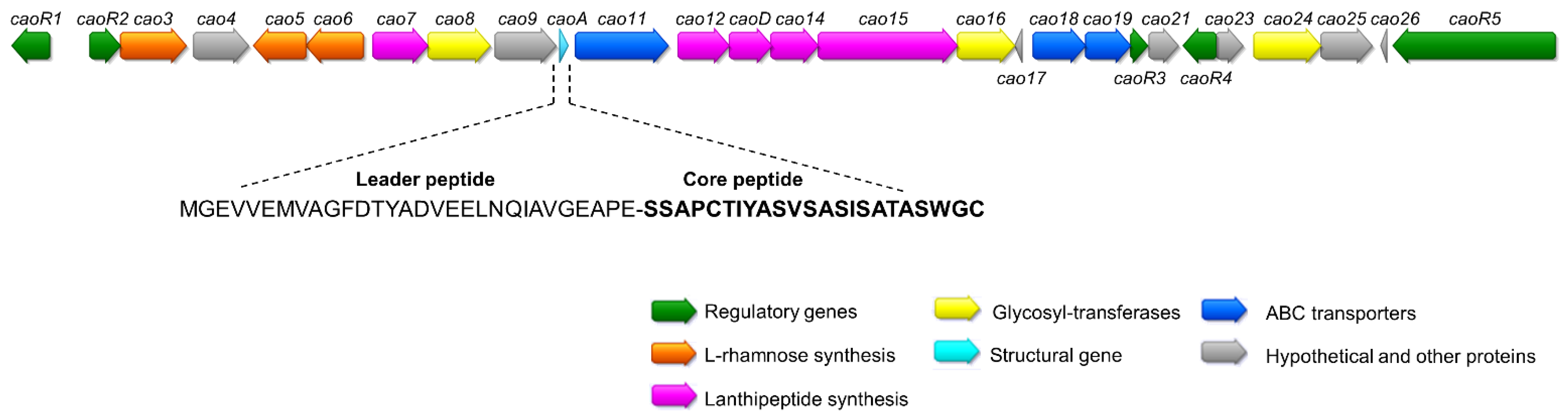 Antibiotics 10 00403 g002 Antibiotics 10 00403 g002