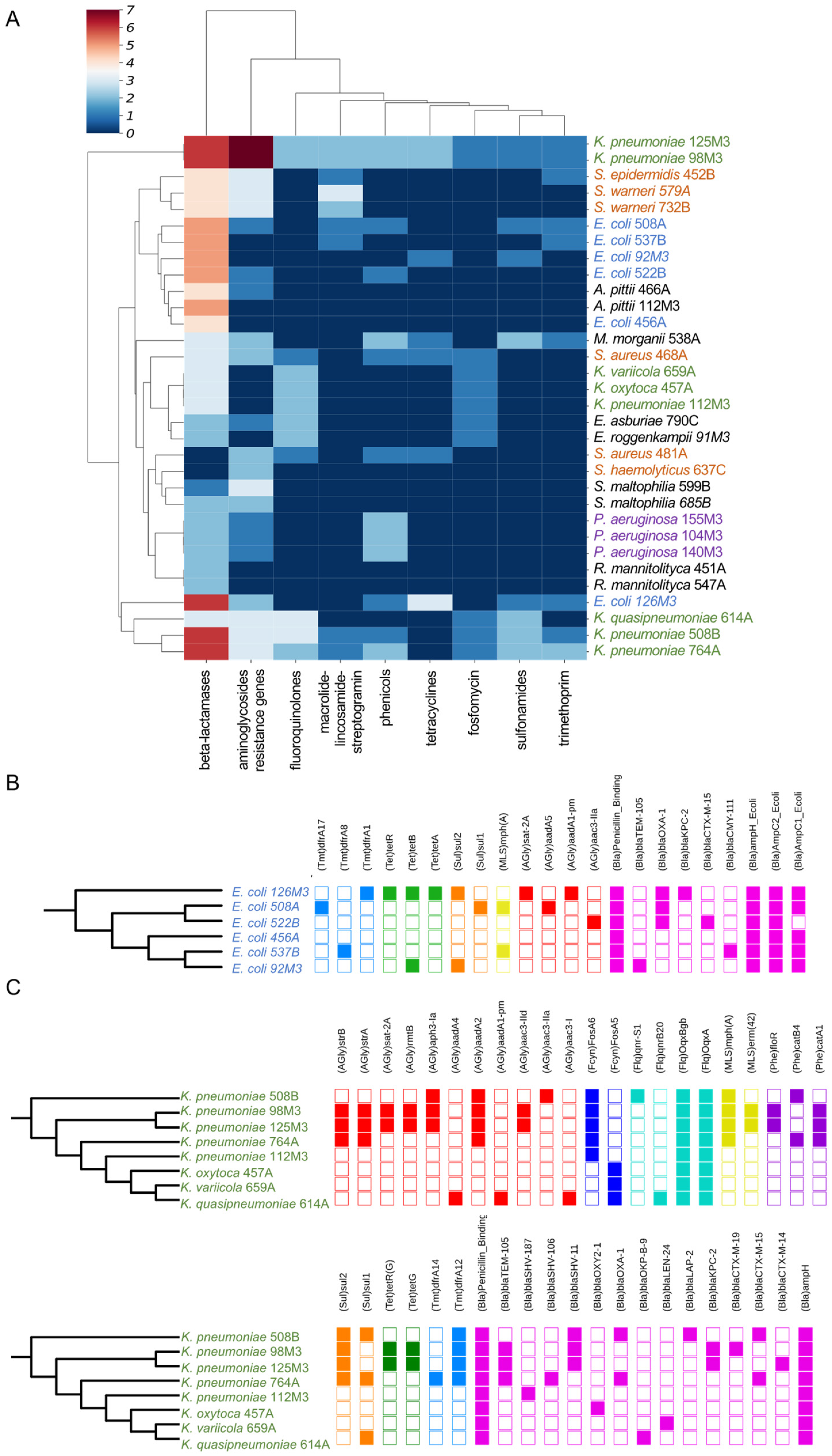 Antibiotics 10 00419 g002
