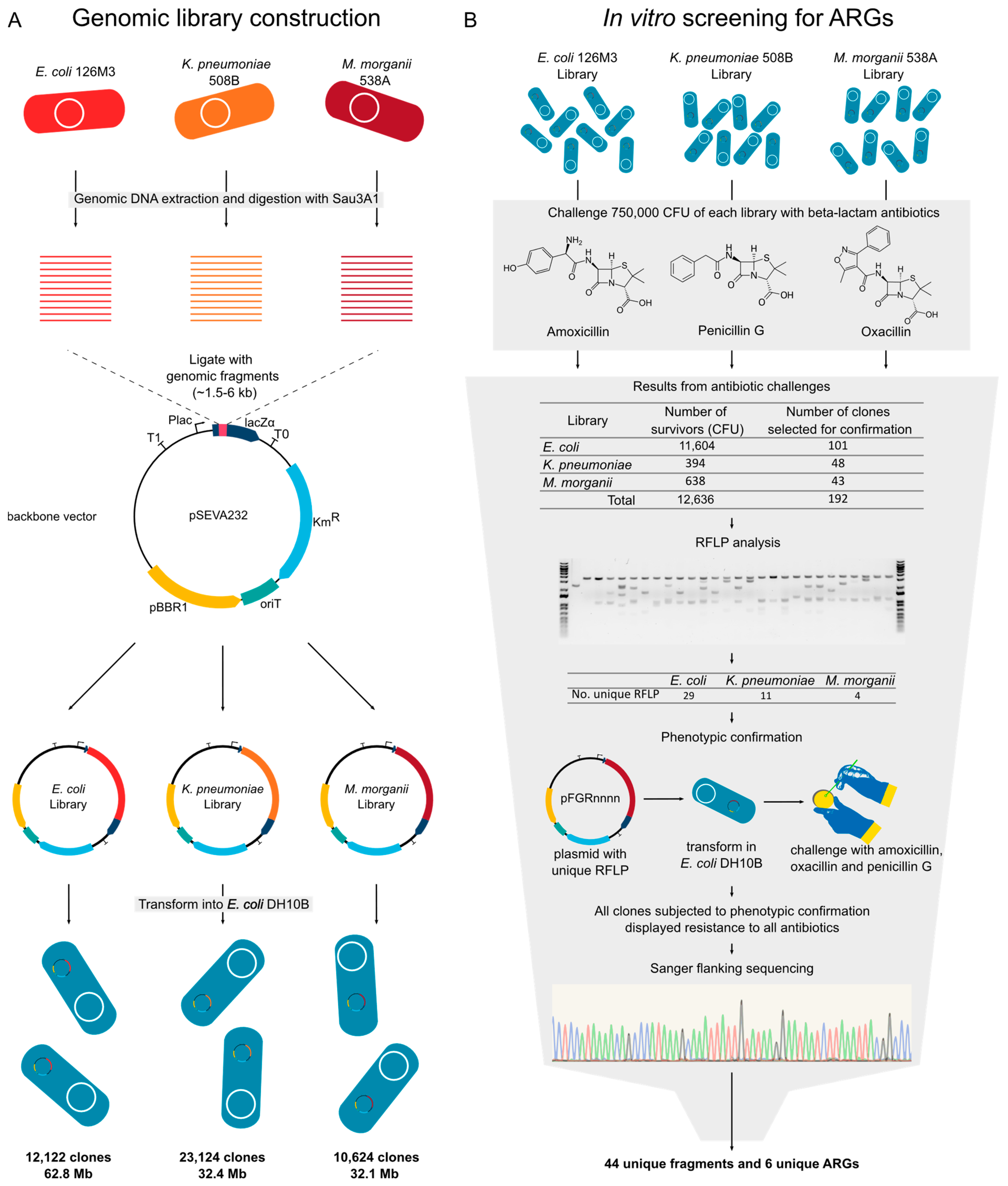 Antibiotics 10 00419 g005