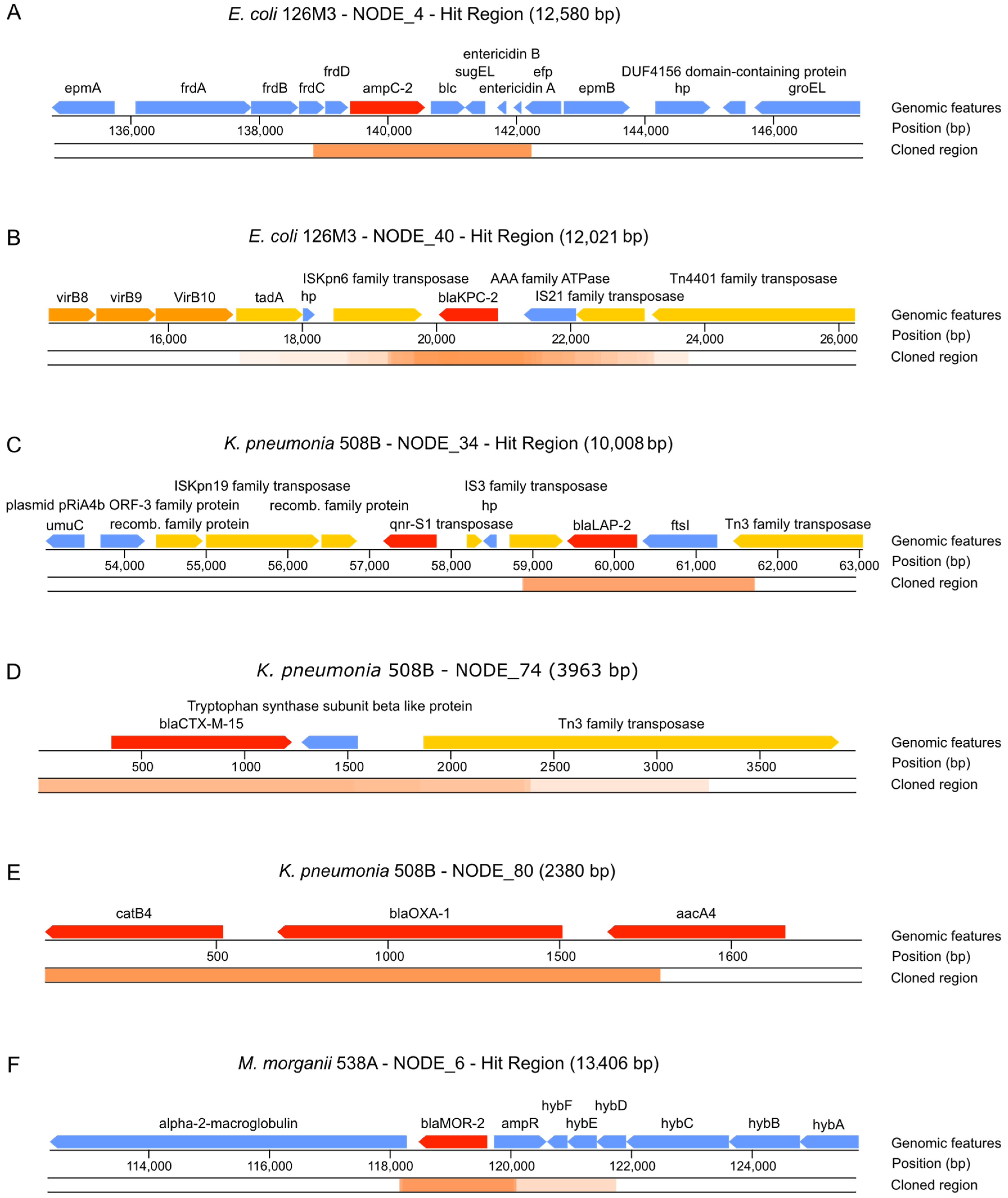 Antibiotics 10 00419 g006