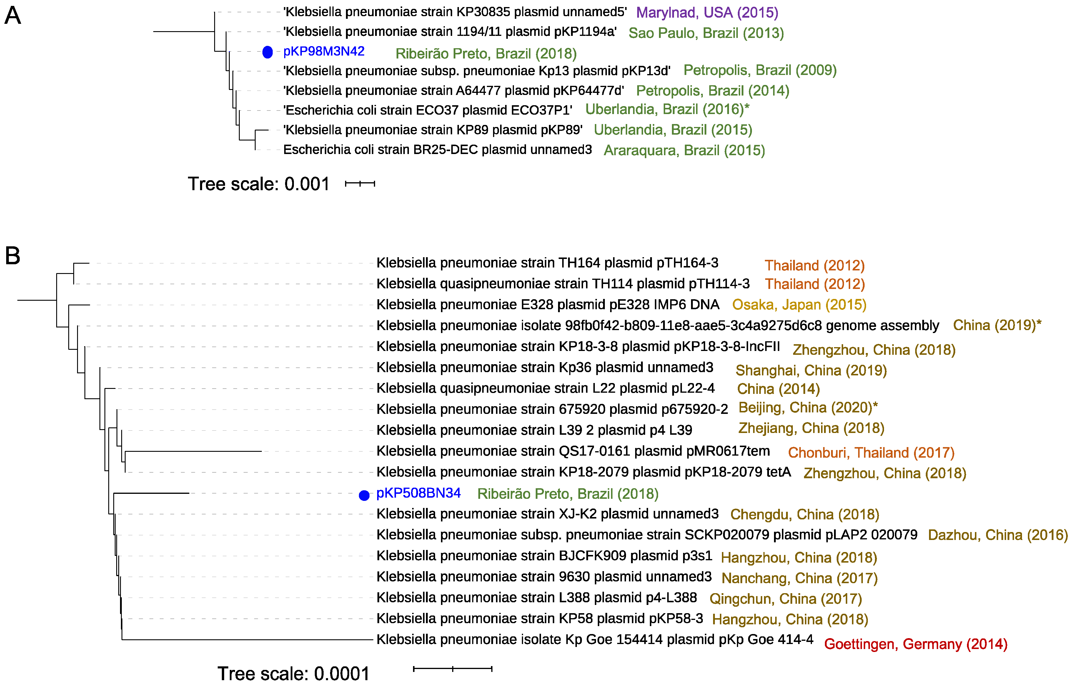 Antibiotics 10 00419 g007