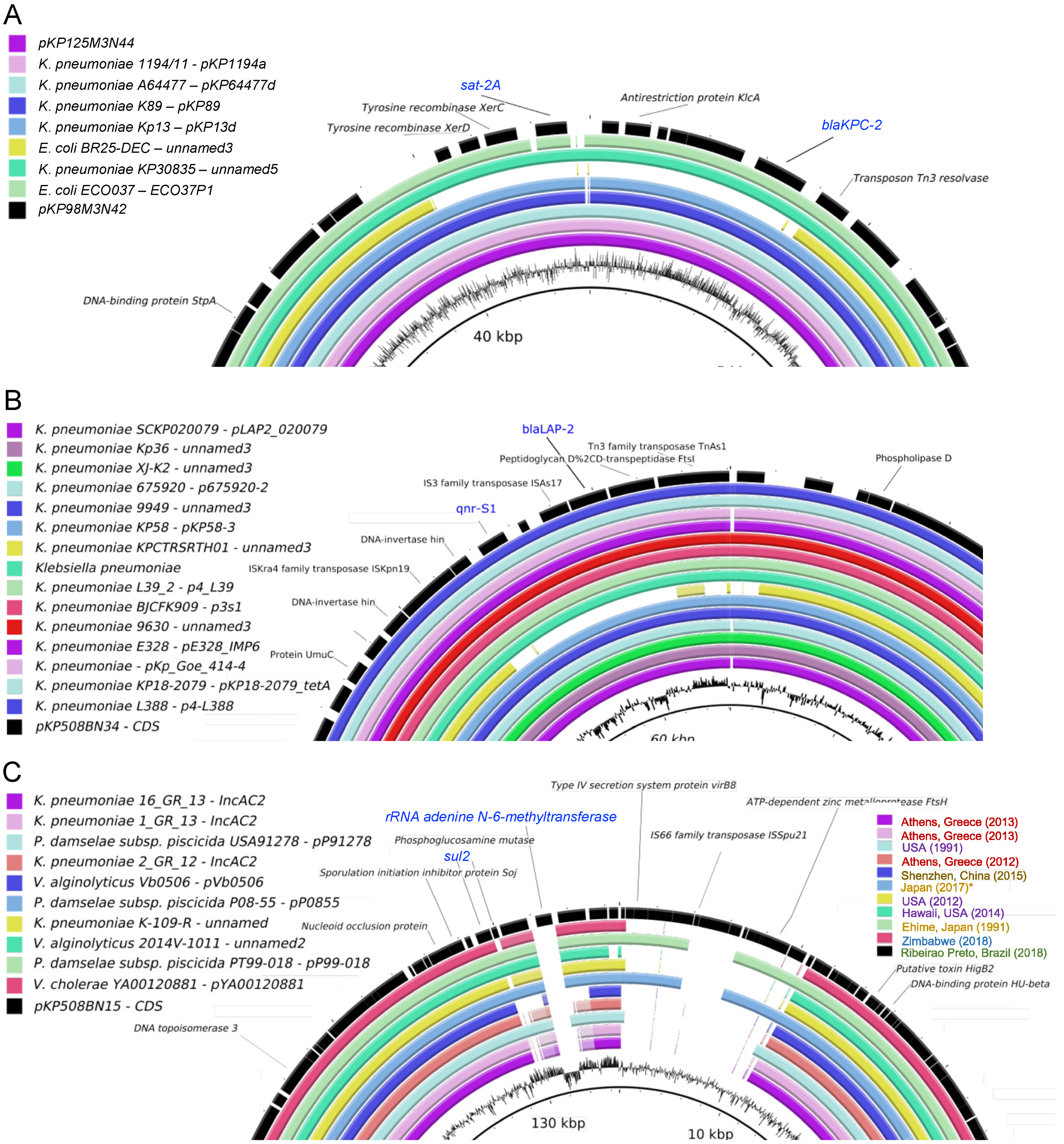 Antibiotics 10 00419 g008