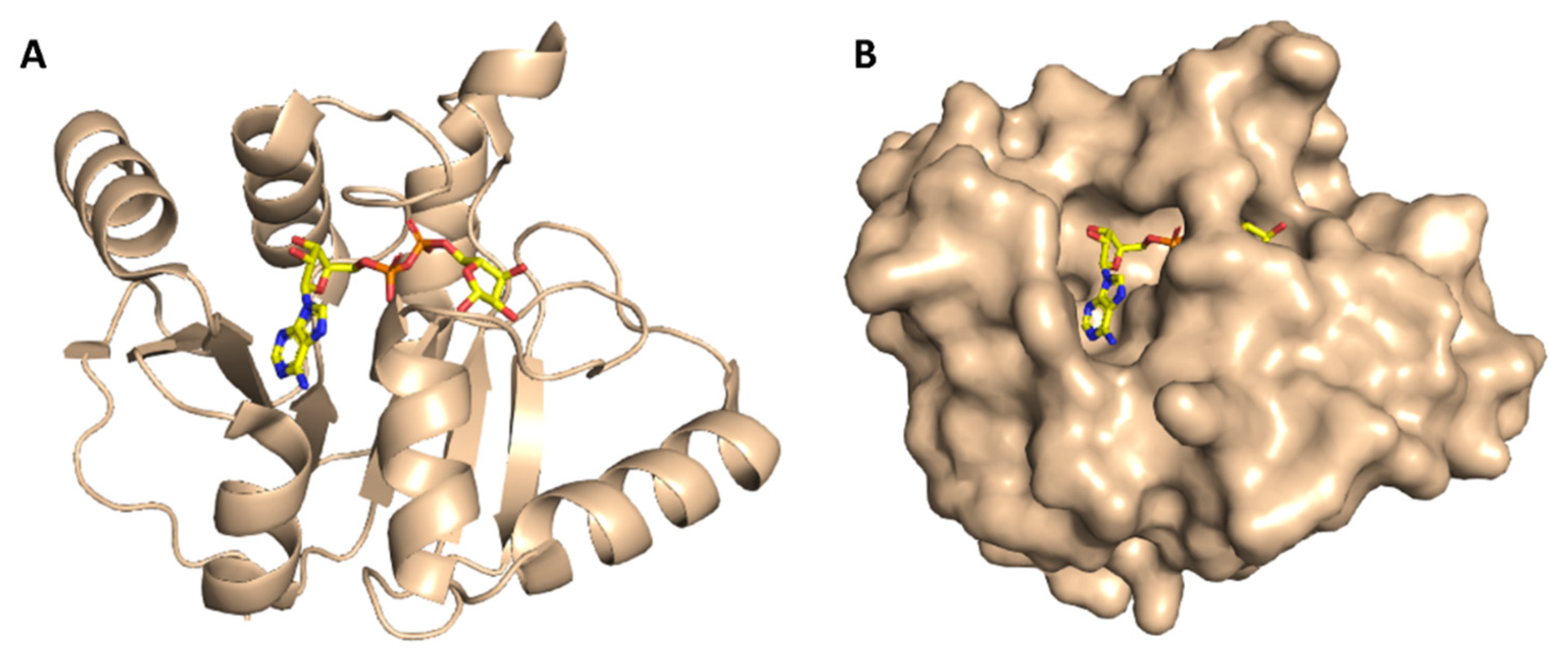 Antibiotics 10 00420 g004 Antibiotics 10 00420 g004