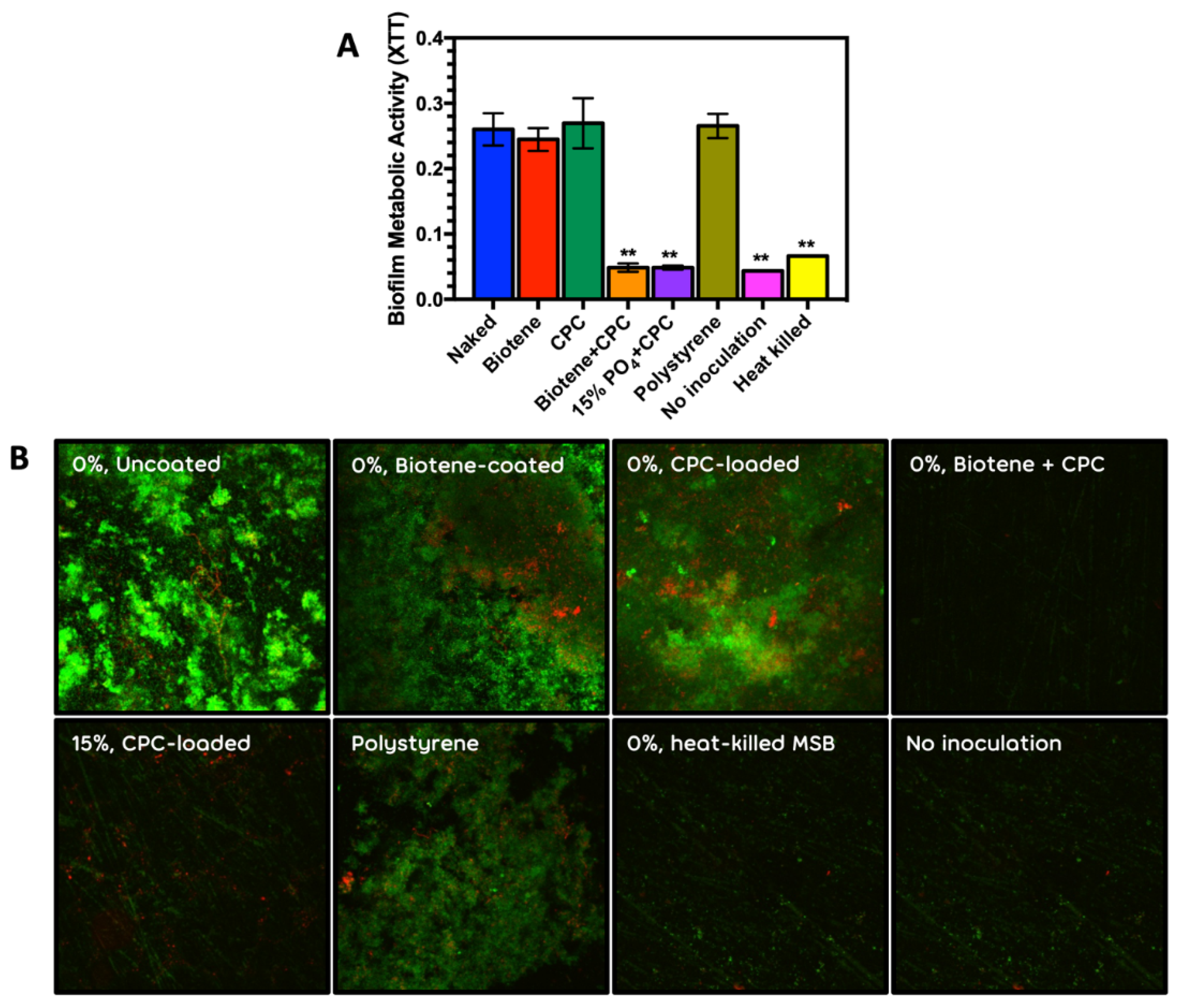 Antibiotics 10 00427 g005