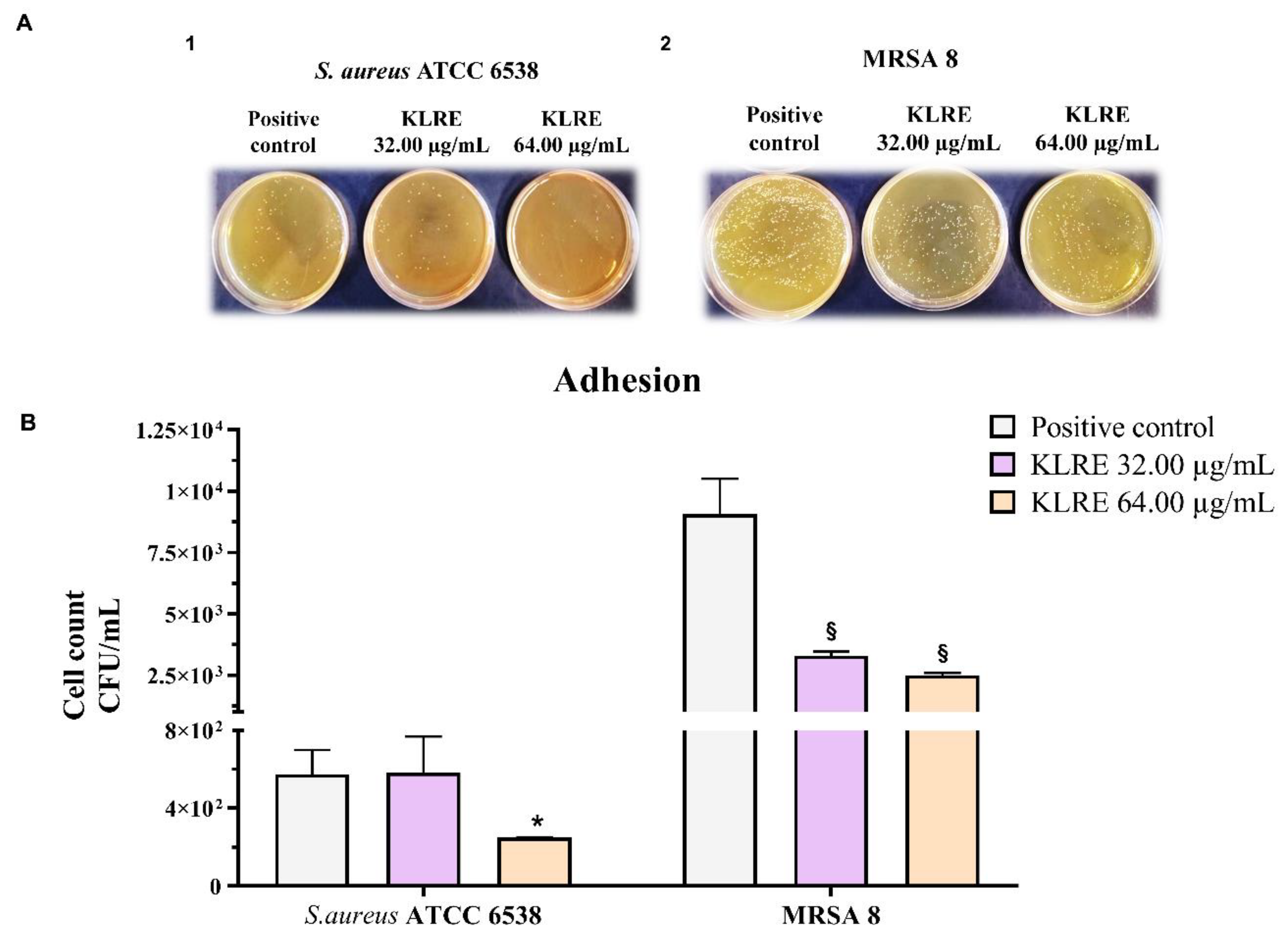 Antibiotics 10 00428 g006