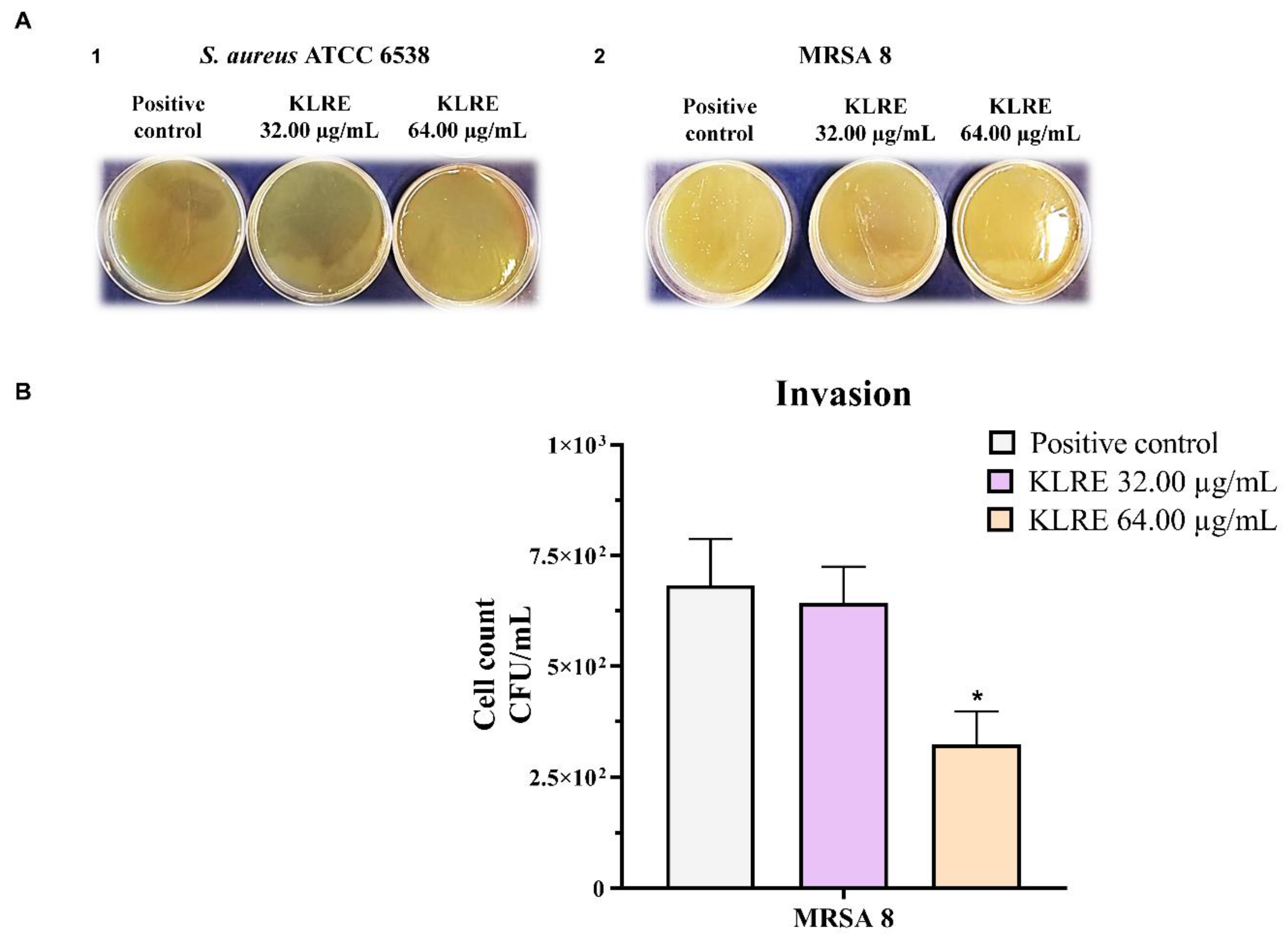 Antibiotics 10 00428 g007