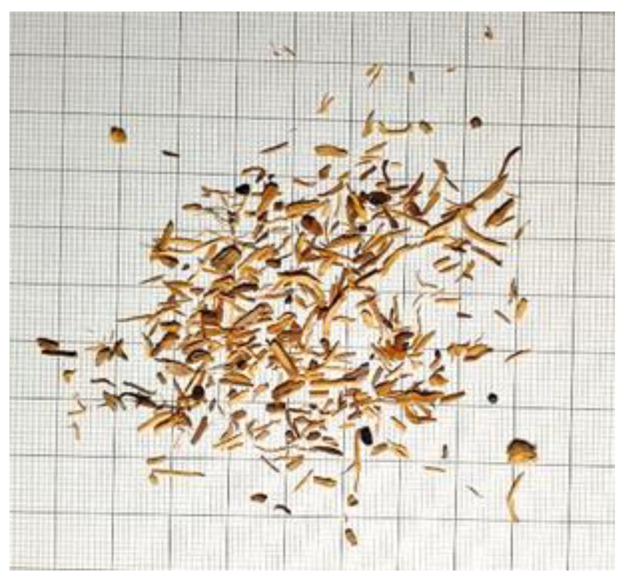 Antibiotics 10 00428 g010