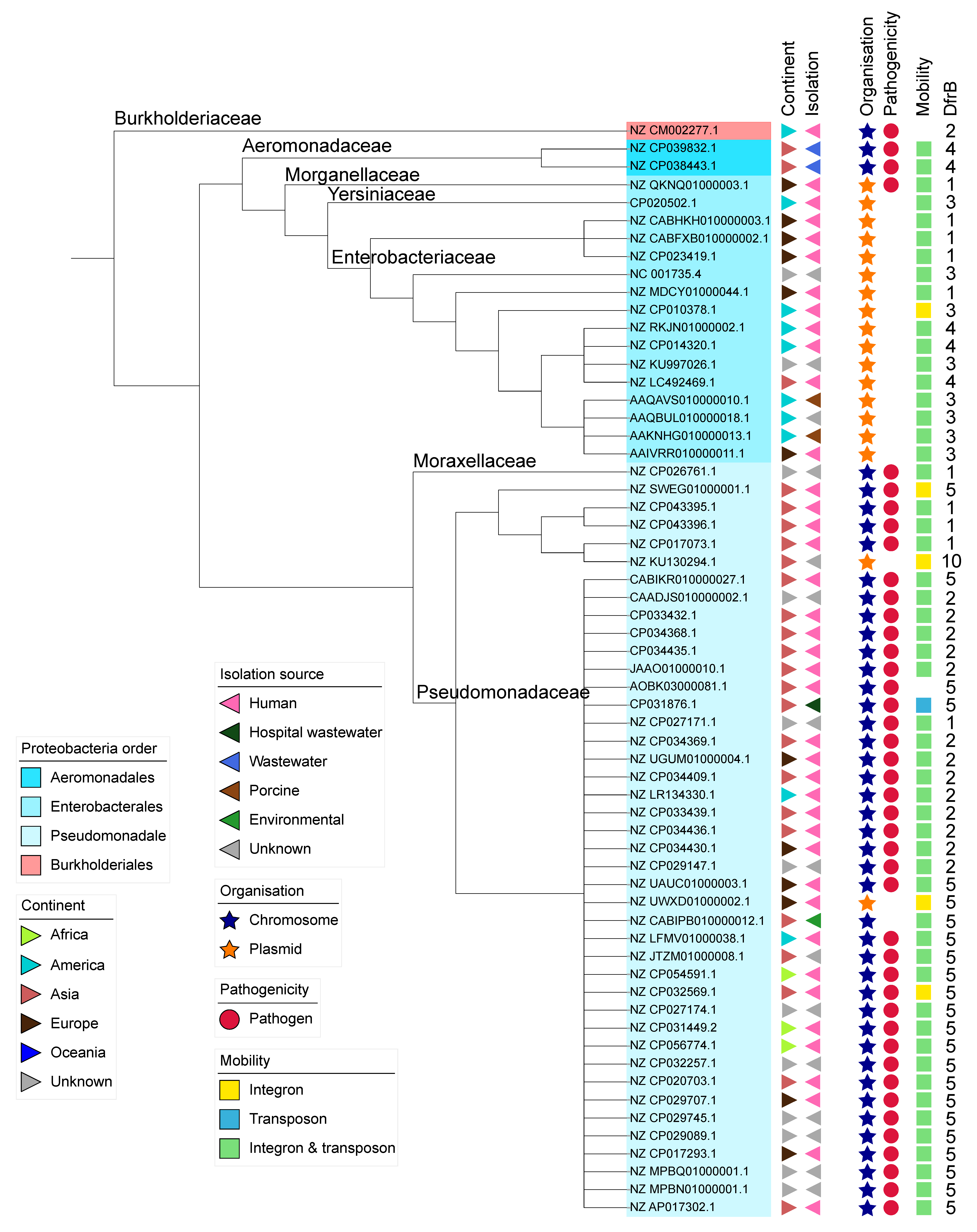 Antibiotics 10 00433 g001