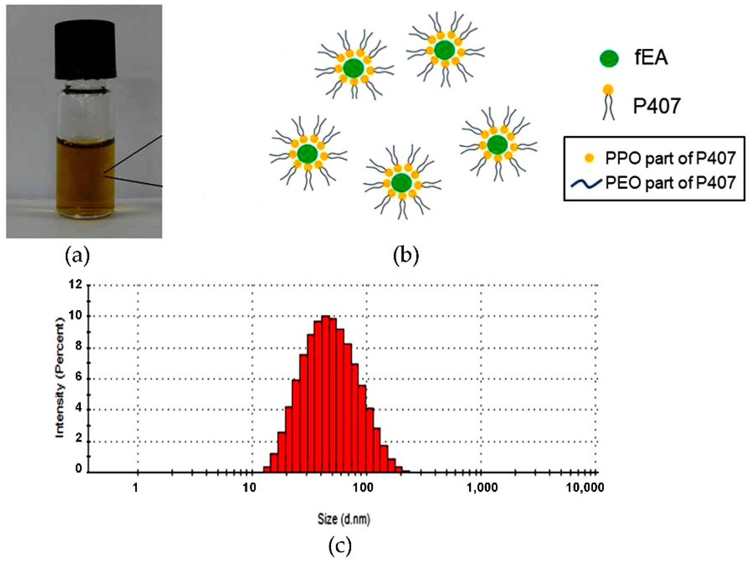 Antibiotics 10 00440 g004
