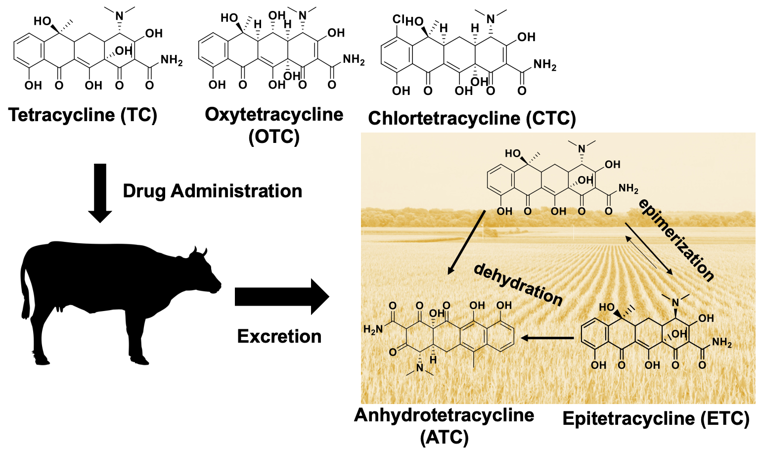 Antibiotics Free FullText Effects of OnFarm Dairy Manure