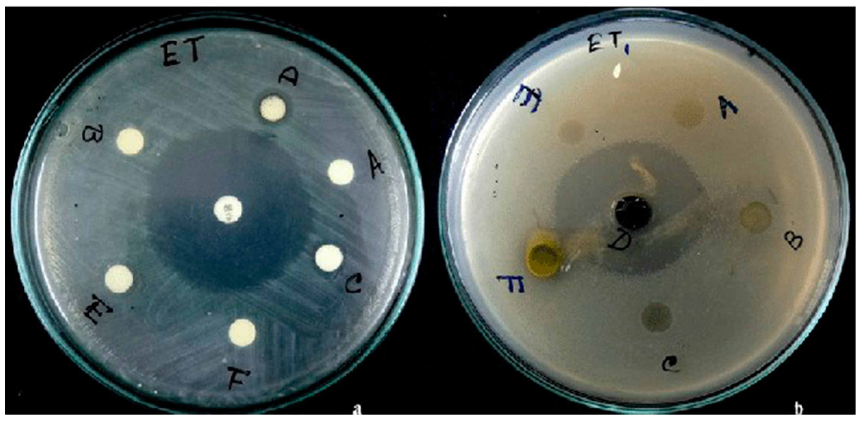 Antibiotics 10 00457 g008 Antibiotics 10 00457 g008