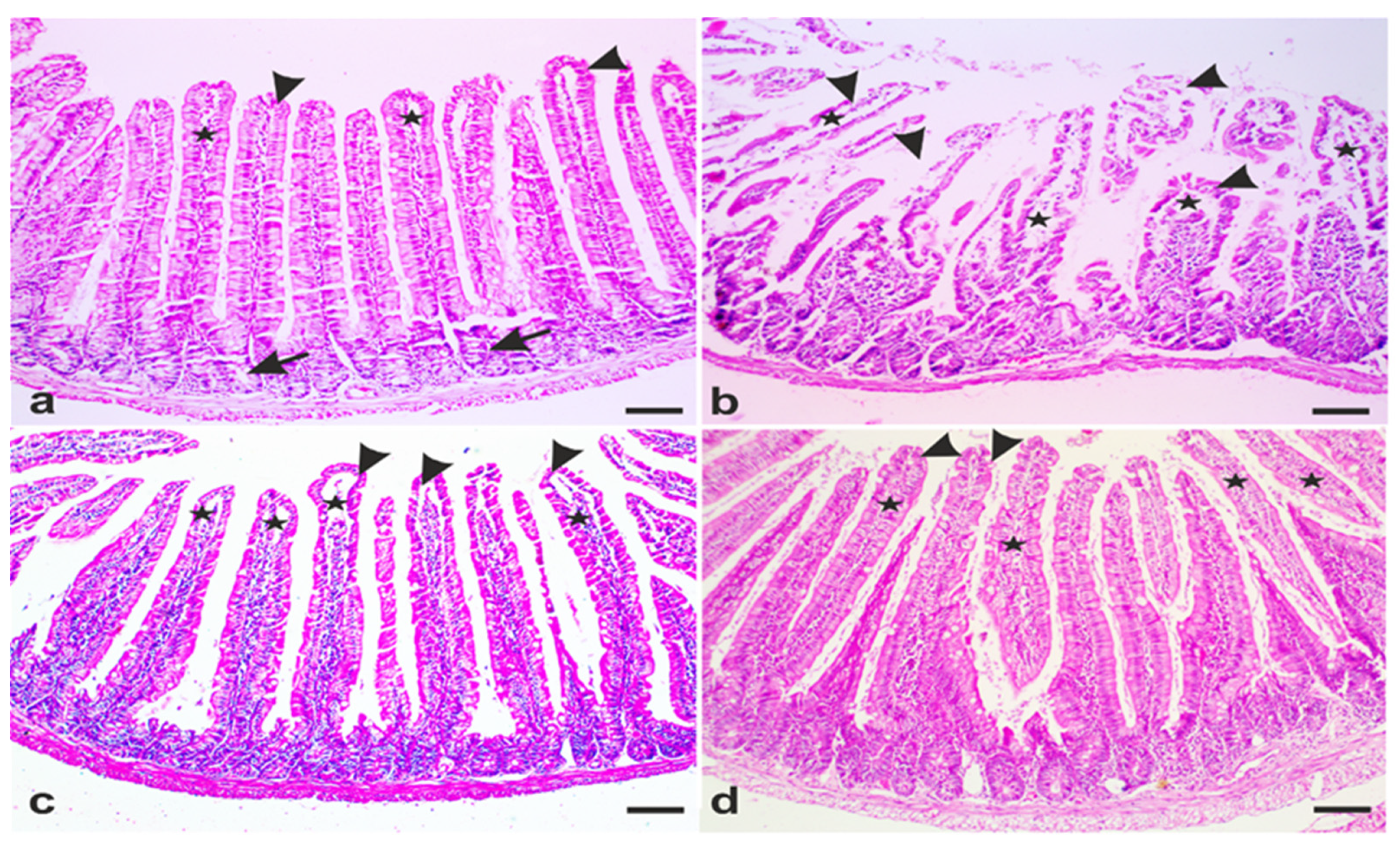 Antibiotics 10 00477 g003