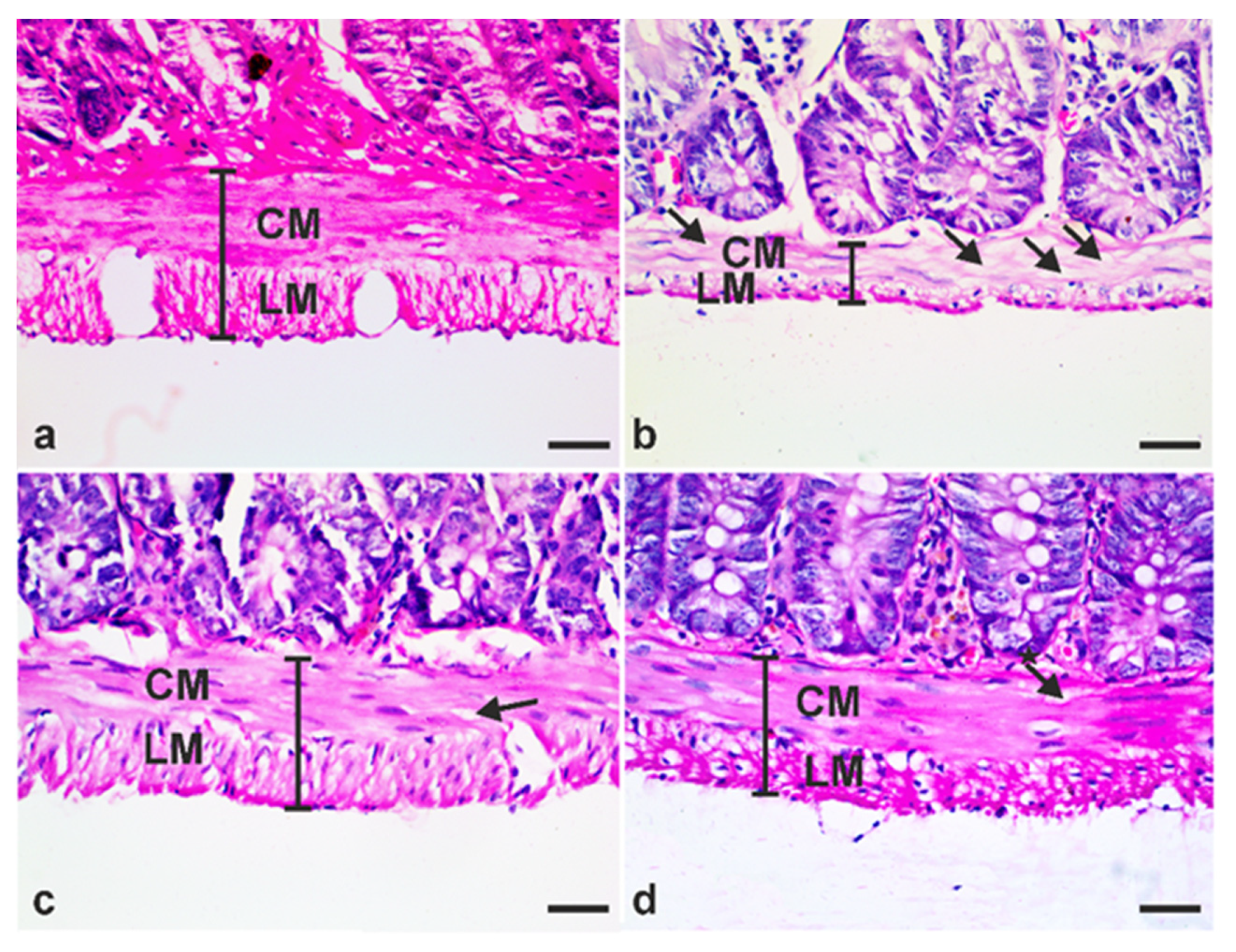 Antibiotics 10 00477 g009