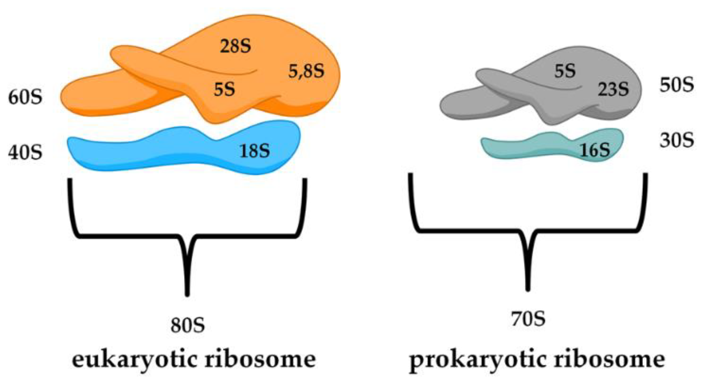 Antibiotics 10 00483 g002 Antibiotics 10 00483 g002