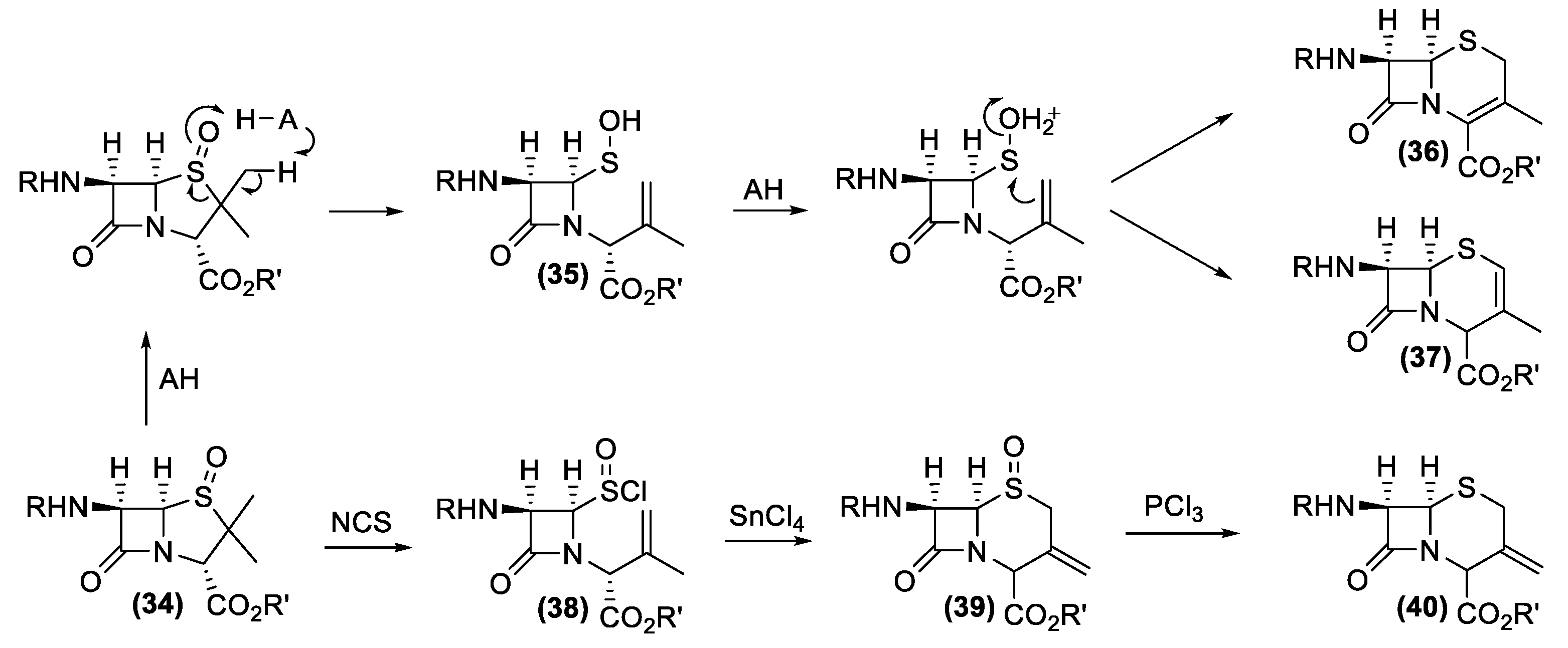 Antibiotics 10 00483 g015 Antibiotics 10 00483 g015