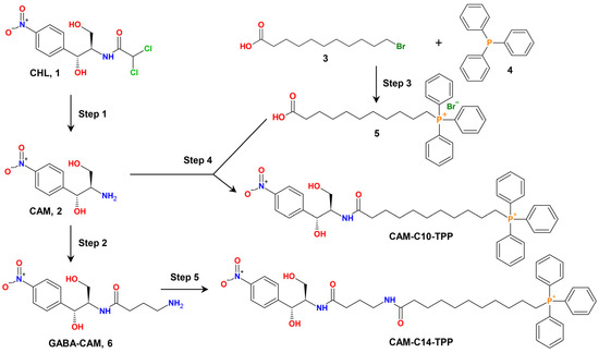Triphenilphosphonium Analogs of Chloramphenicol as Dual