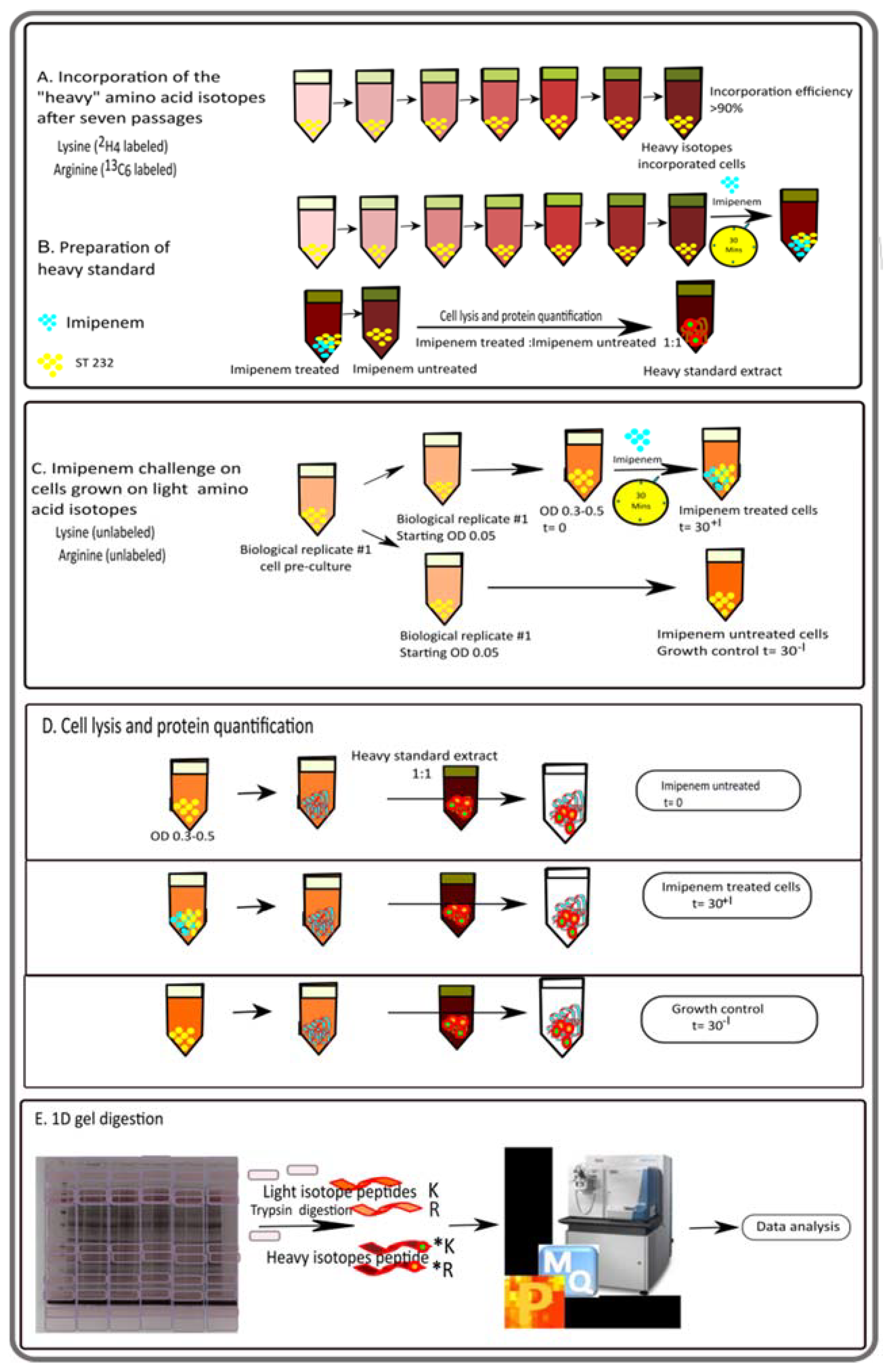 Antibiotics 10 00501 g001