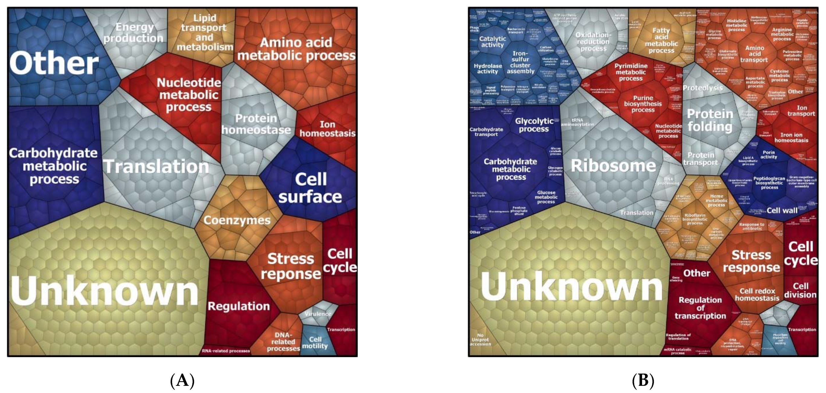 Antibiotics 10 00501 g003