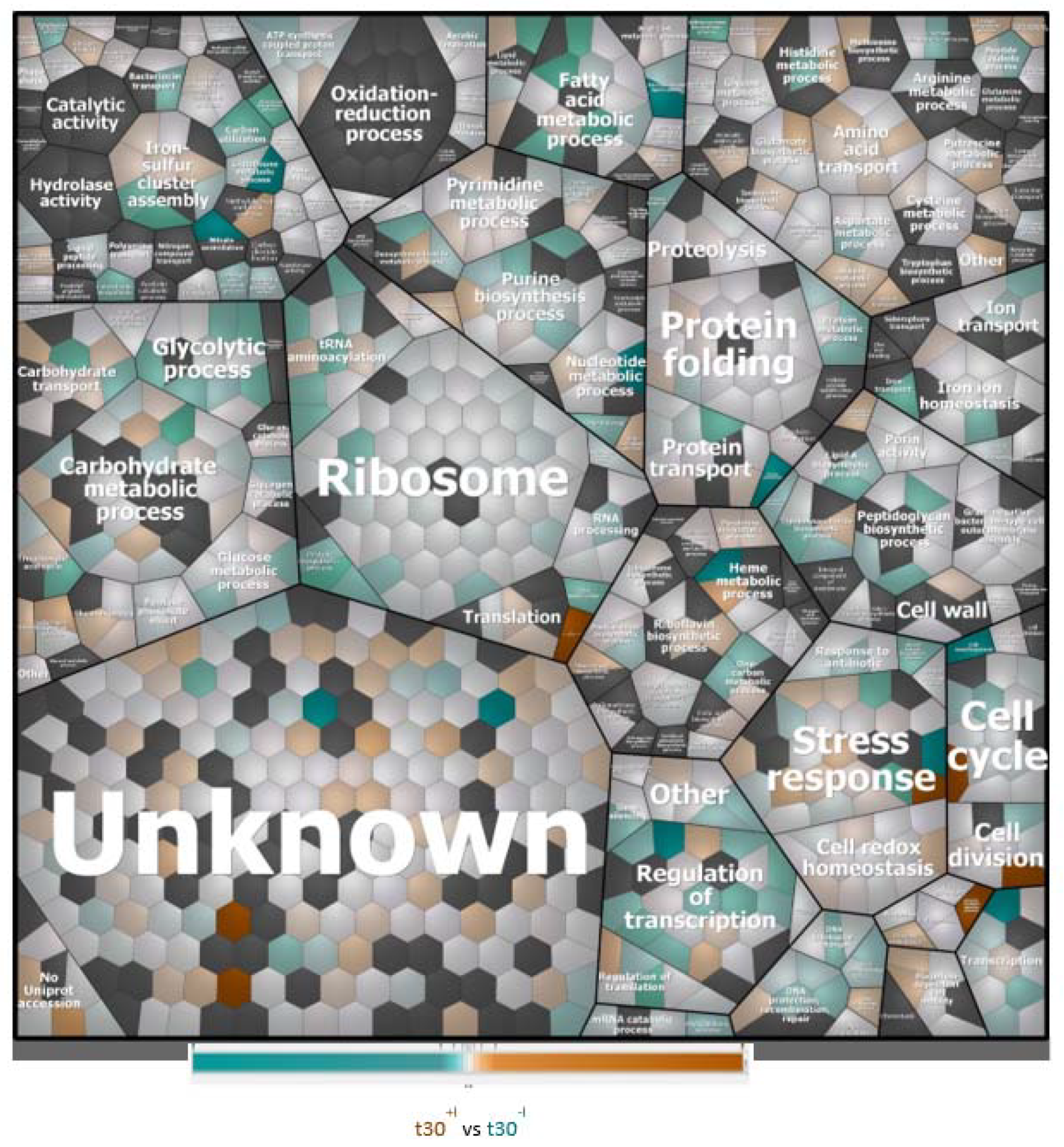 Antibiotics 10 00501 g004