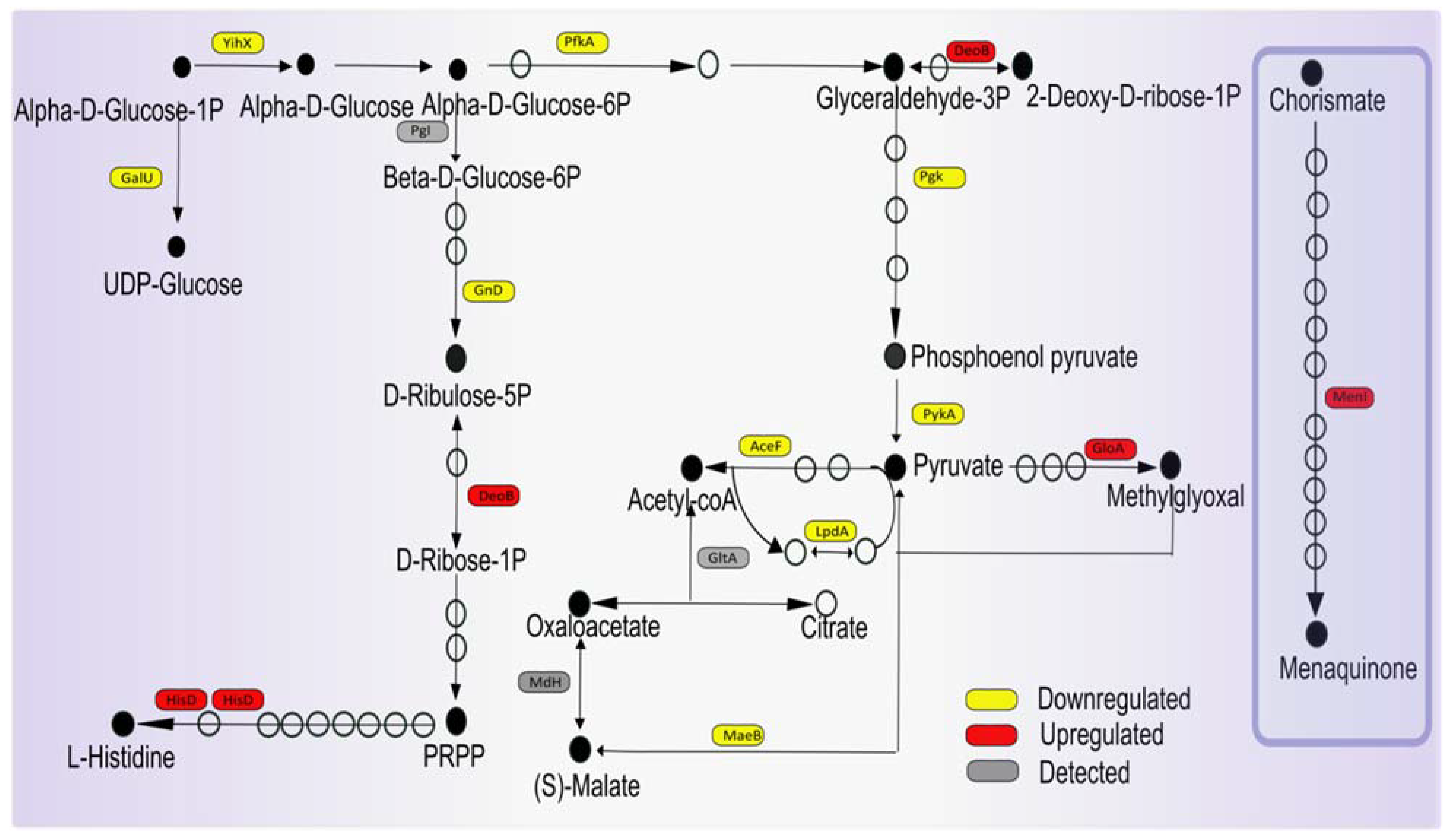 Antibiotics 10 00501 g006