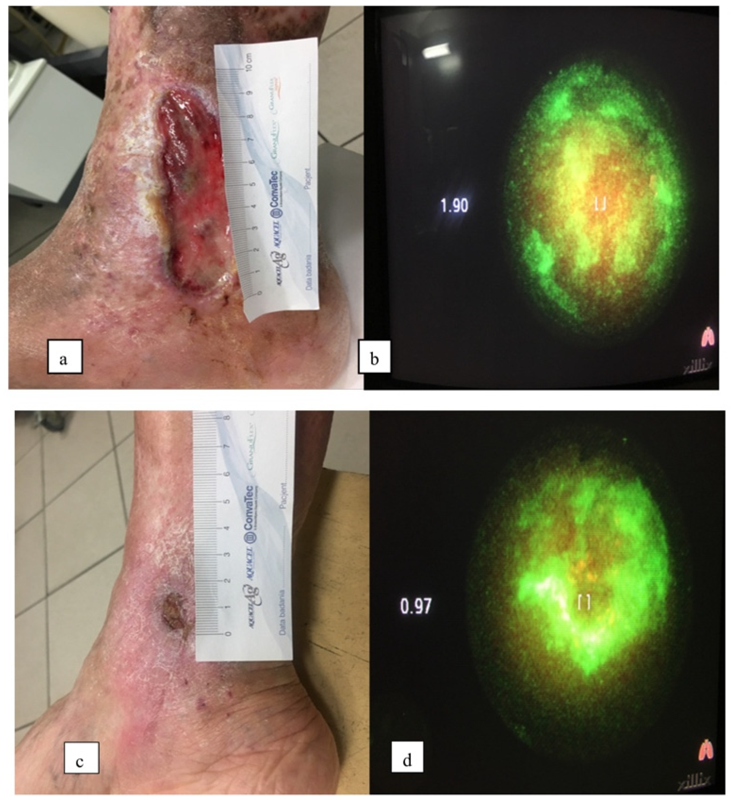 Antibiotics 10 00506 g005 Antibiotics 10 00506 g005