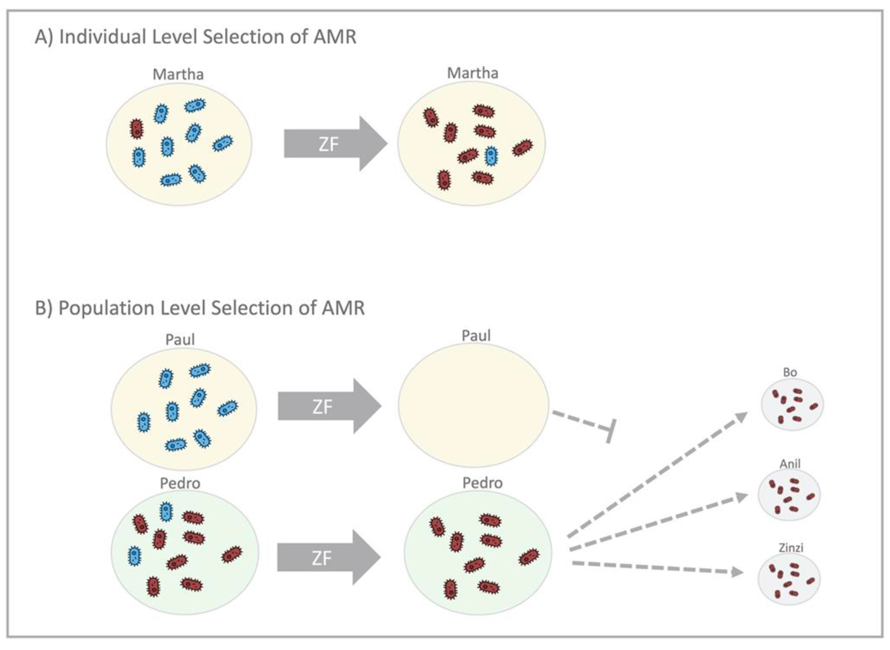 Antibiotics 10 00515 g004 Antibiotics 10 00515 g004