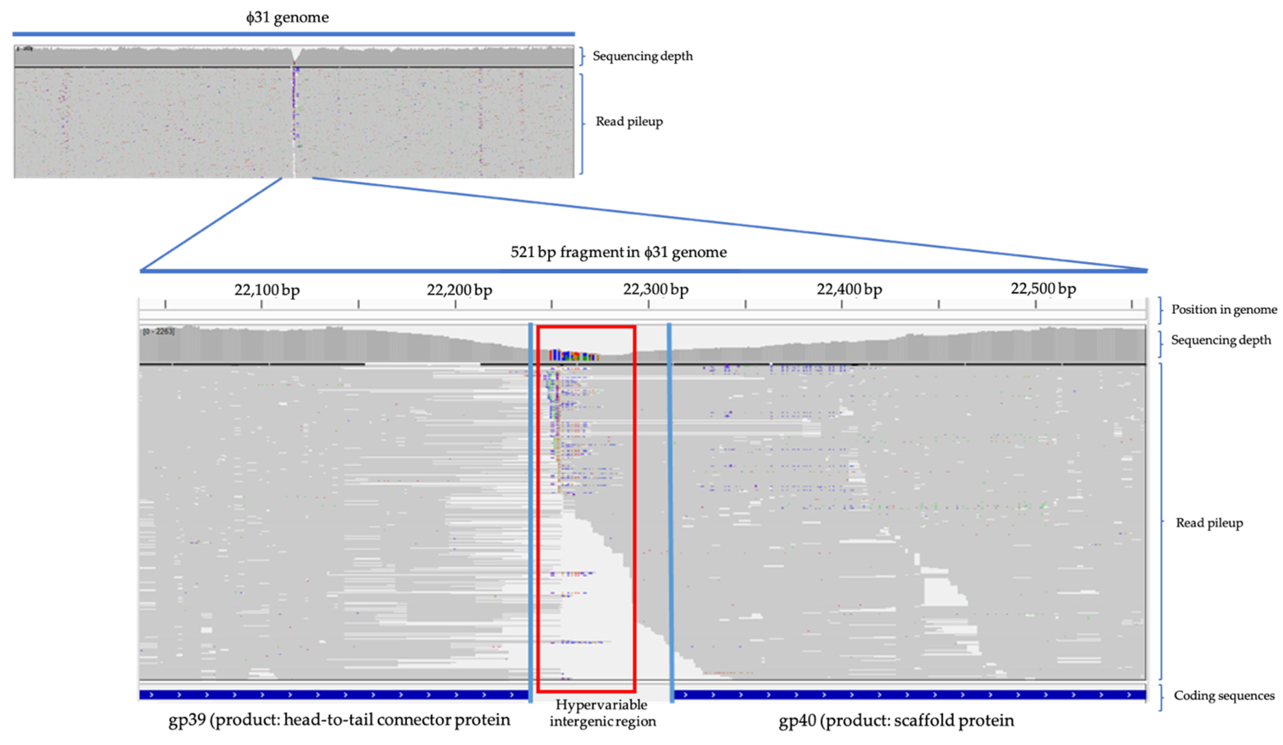 Antibiotics 10 00517 g0a2 Antibiotics 10 00517 g0a2