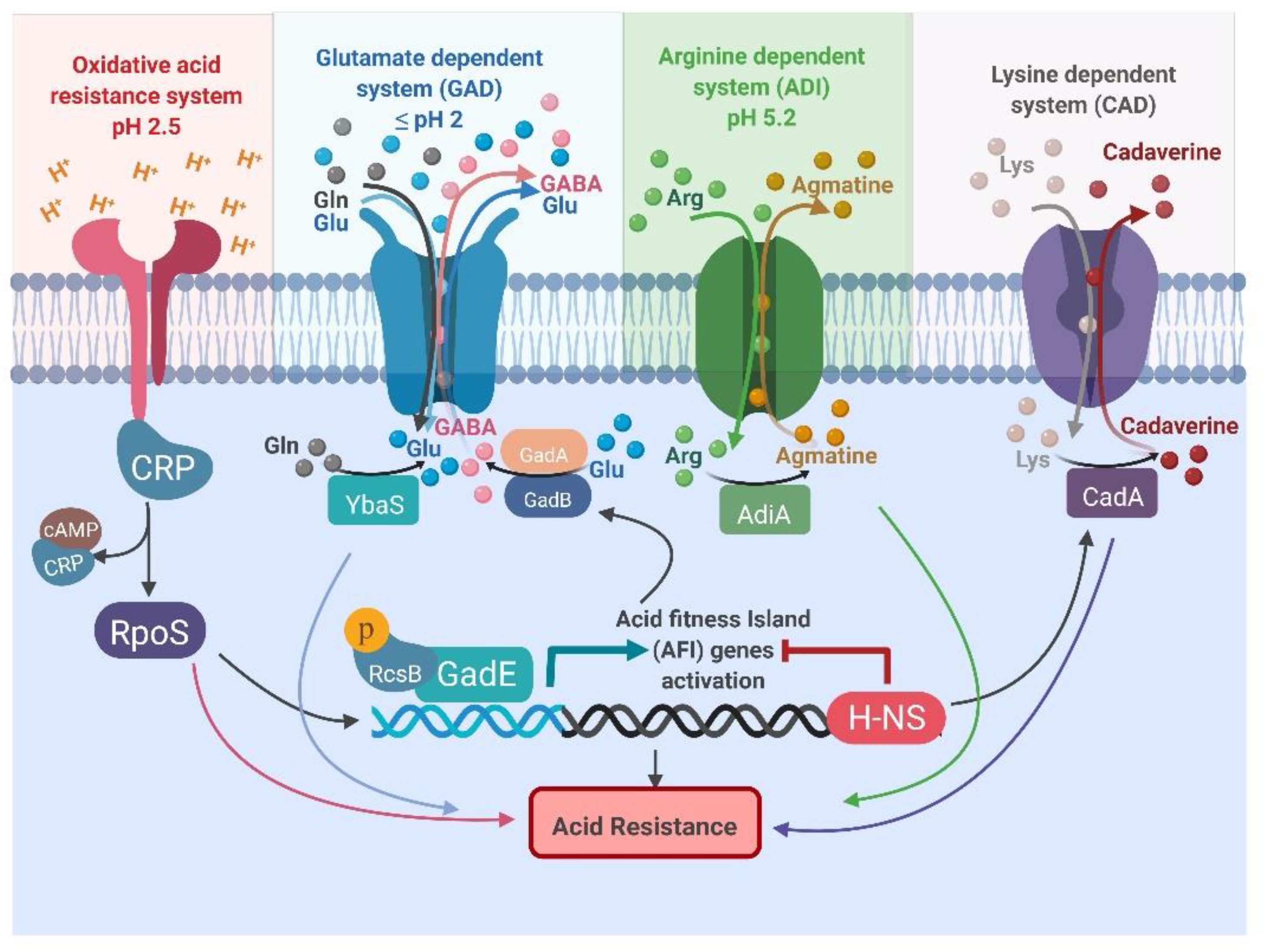 Antibiotics 10 00522 g001 Antibiotics 10 00522 g001