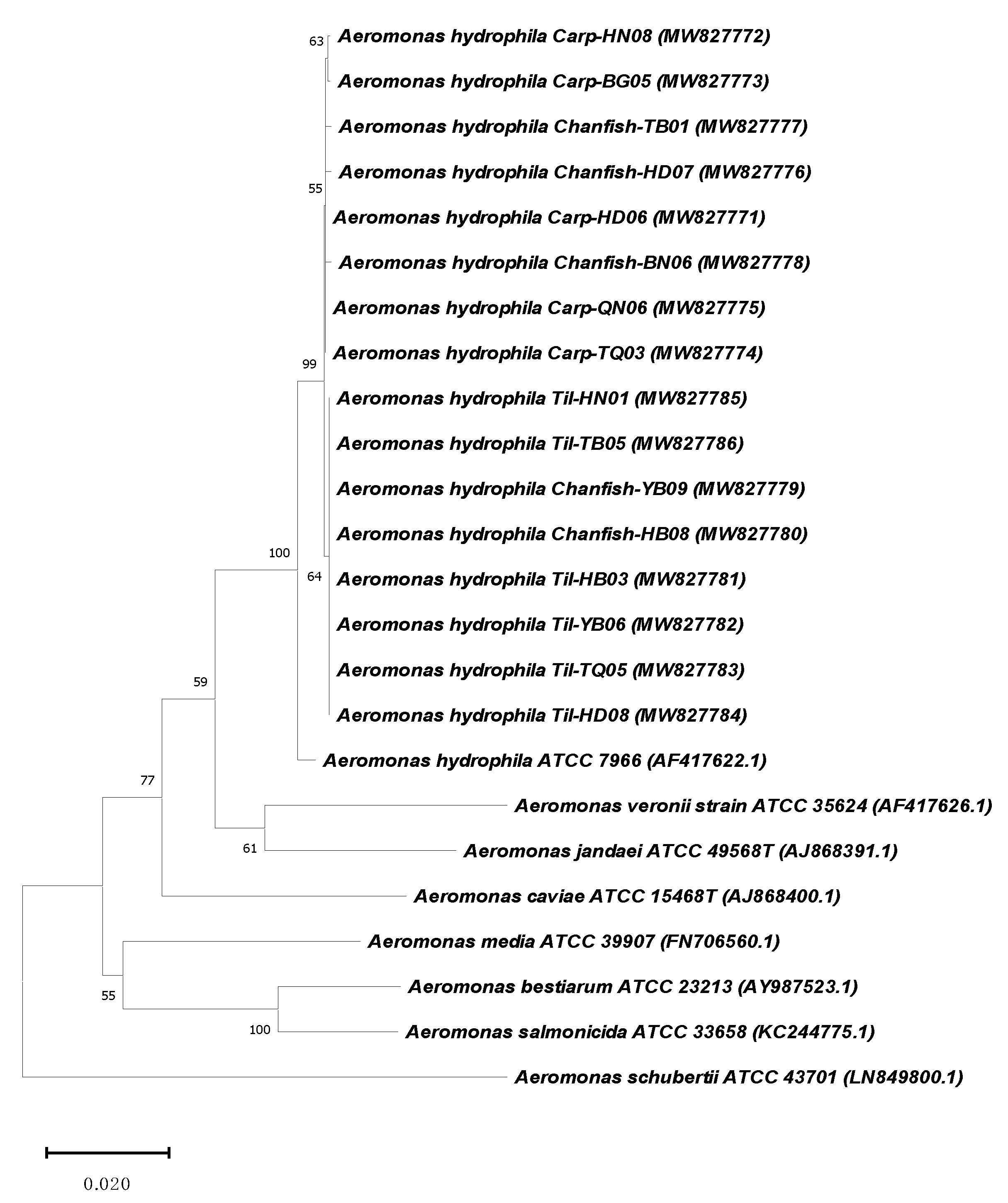 Antibiotics 10 00532 g003