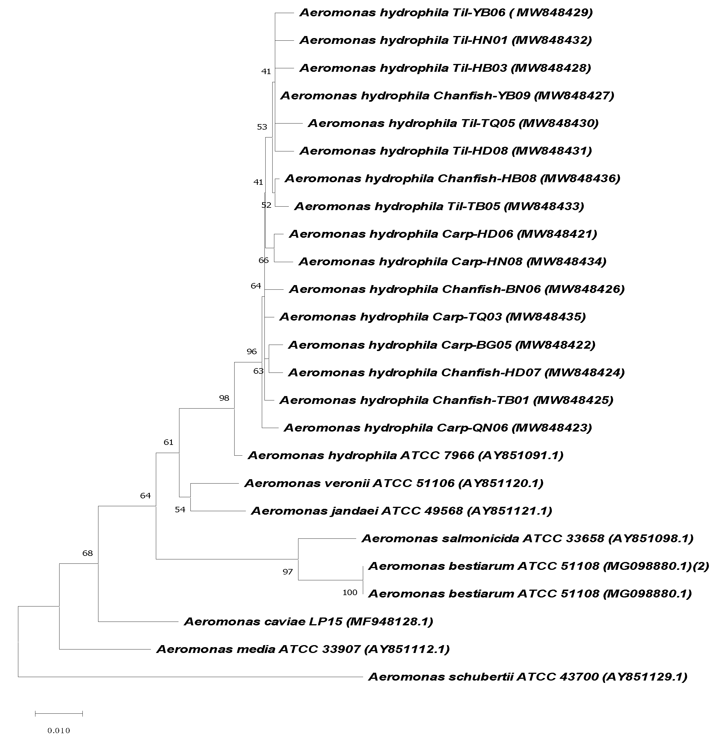 Antibiotics 10 00532 g004