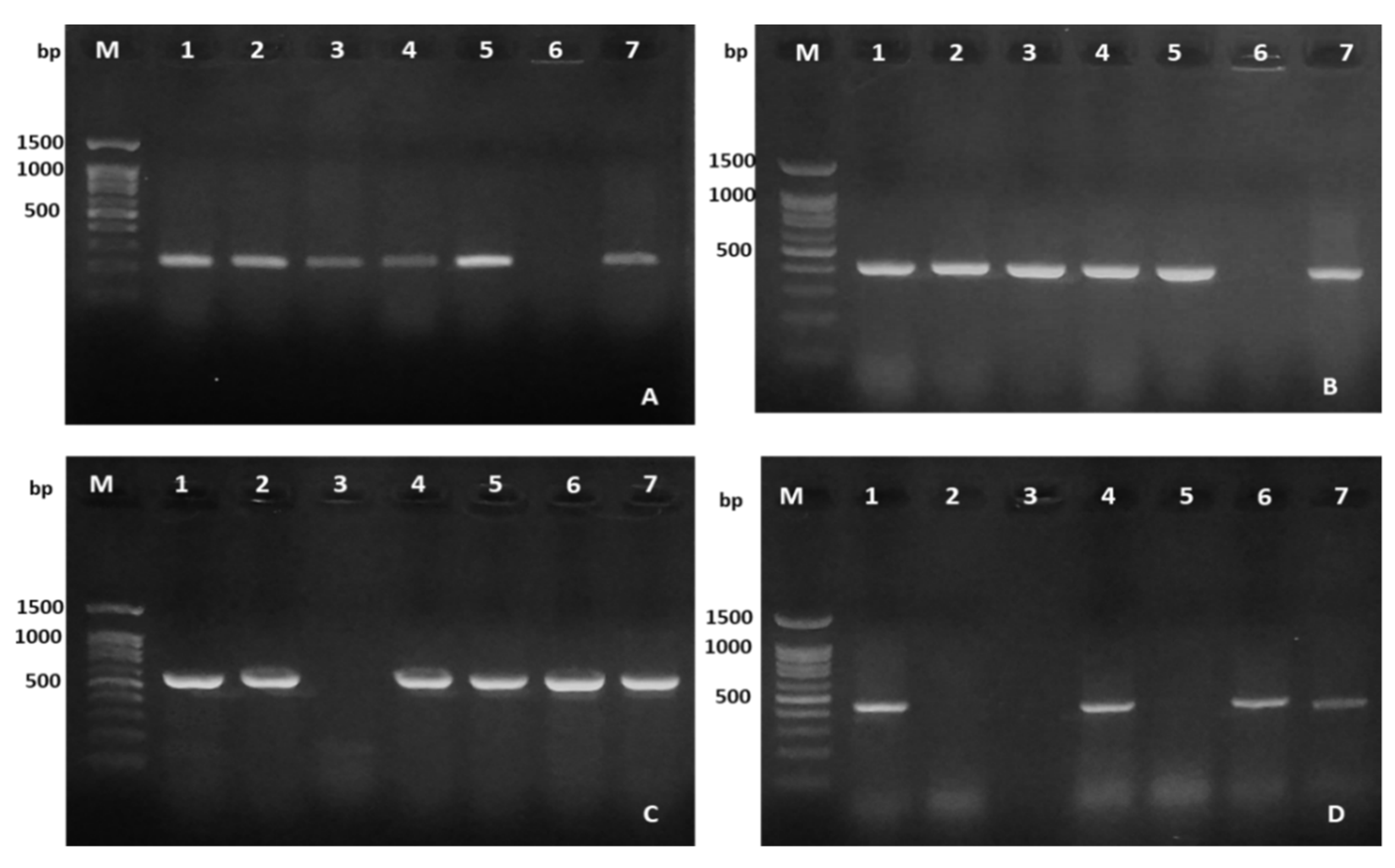 Antibiotics 10 00532 g006