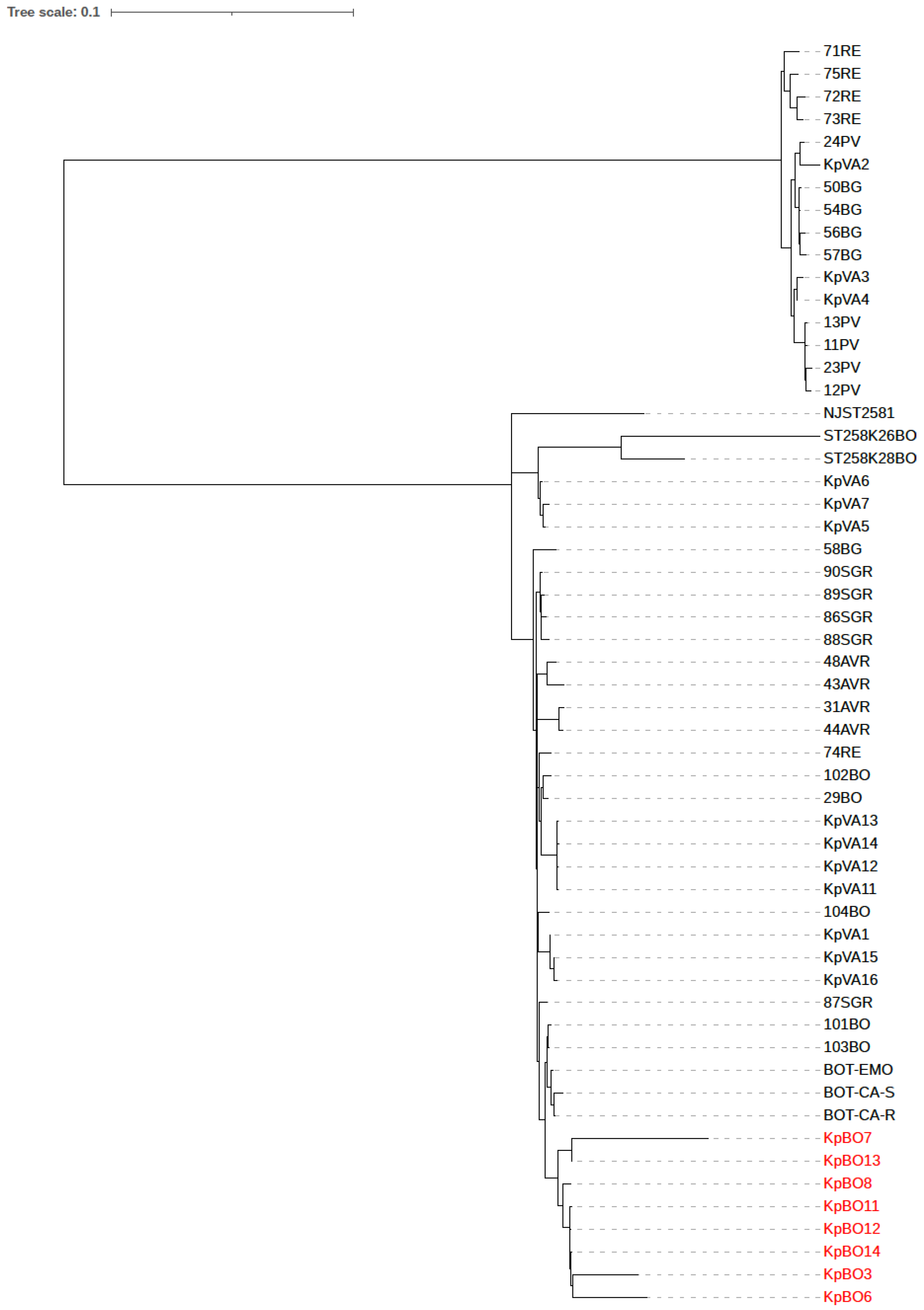 Antibiotics 10 00536 g001 Antibiotics 10 00536 g001