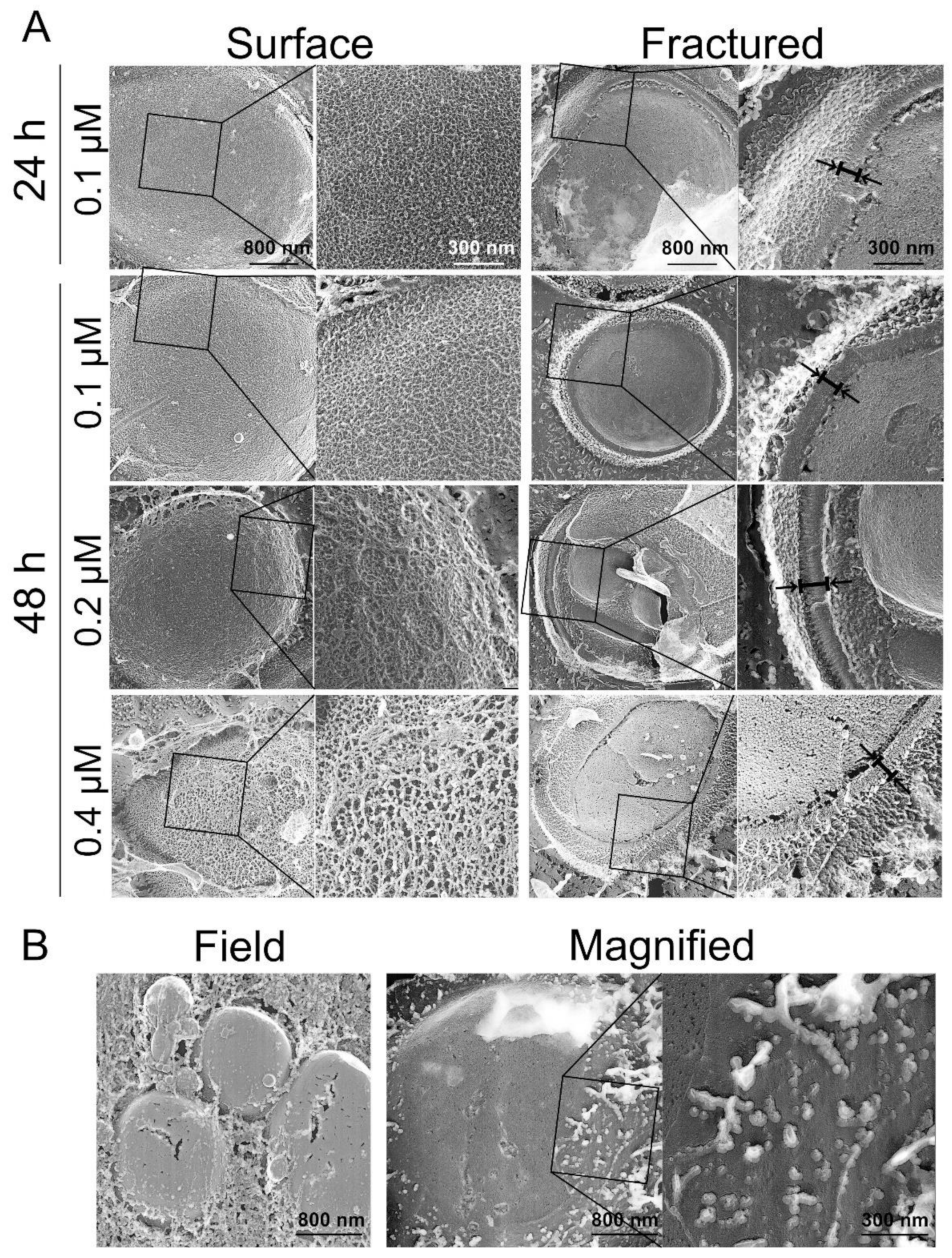 Antibiotics 10 00537 g007 Antibiotics 10 00537 g007