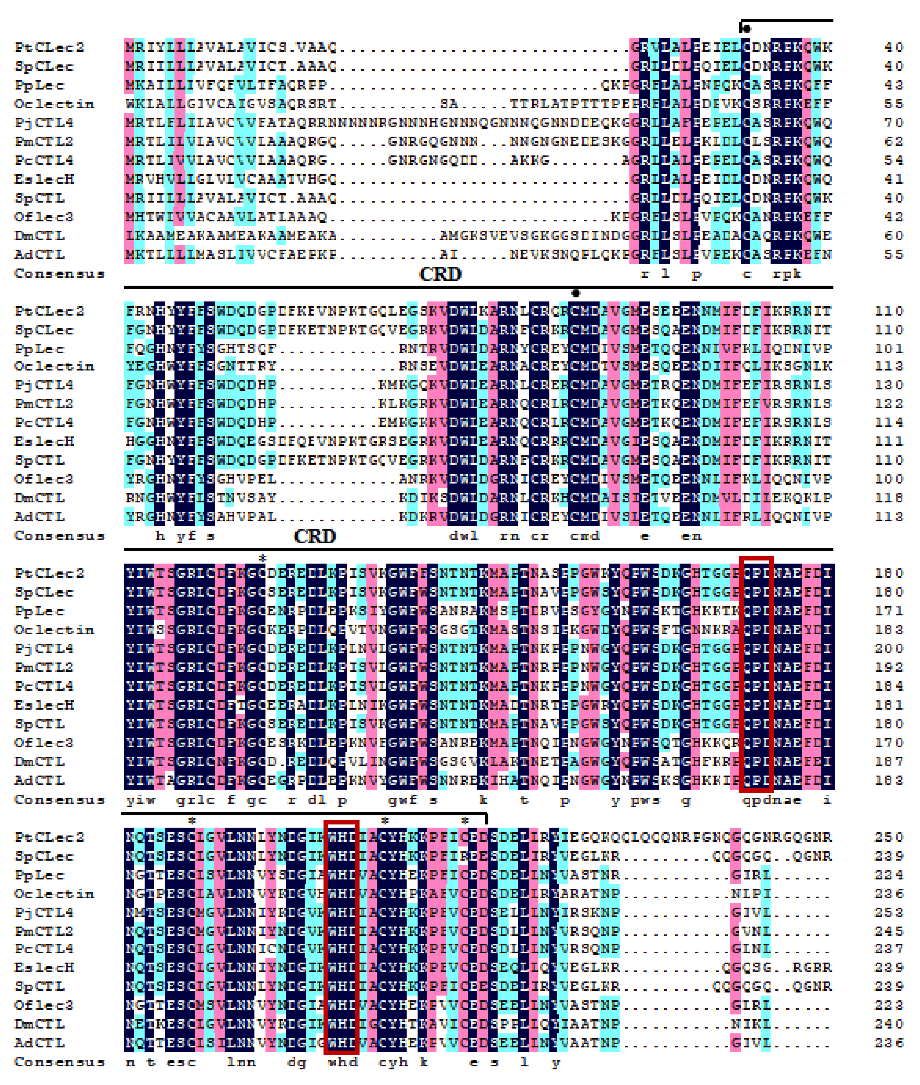 Antibiotics 10 00541 g002 Antibiotics 10 00541 g002