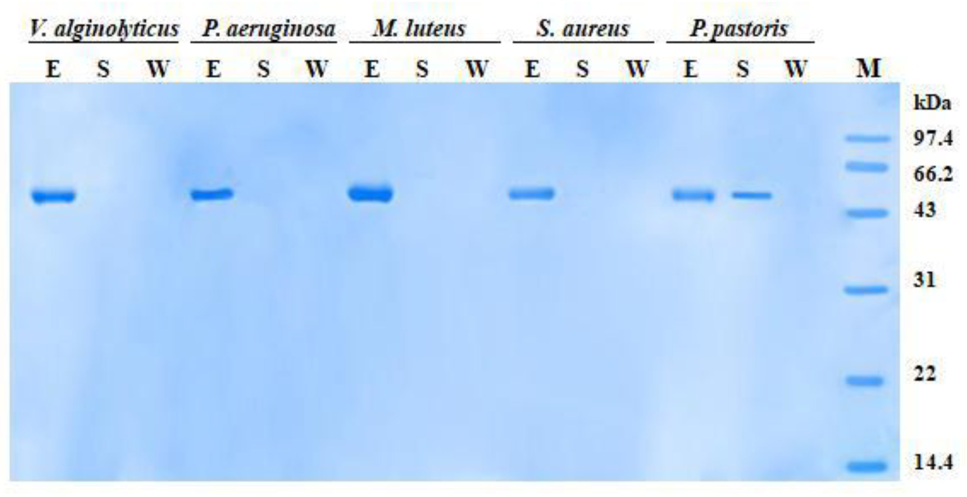 Antibiotics 10 00541 g008 Antibiotics 10 00541 g008
