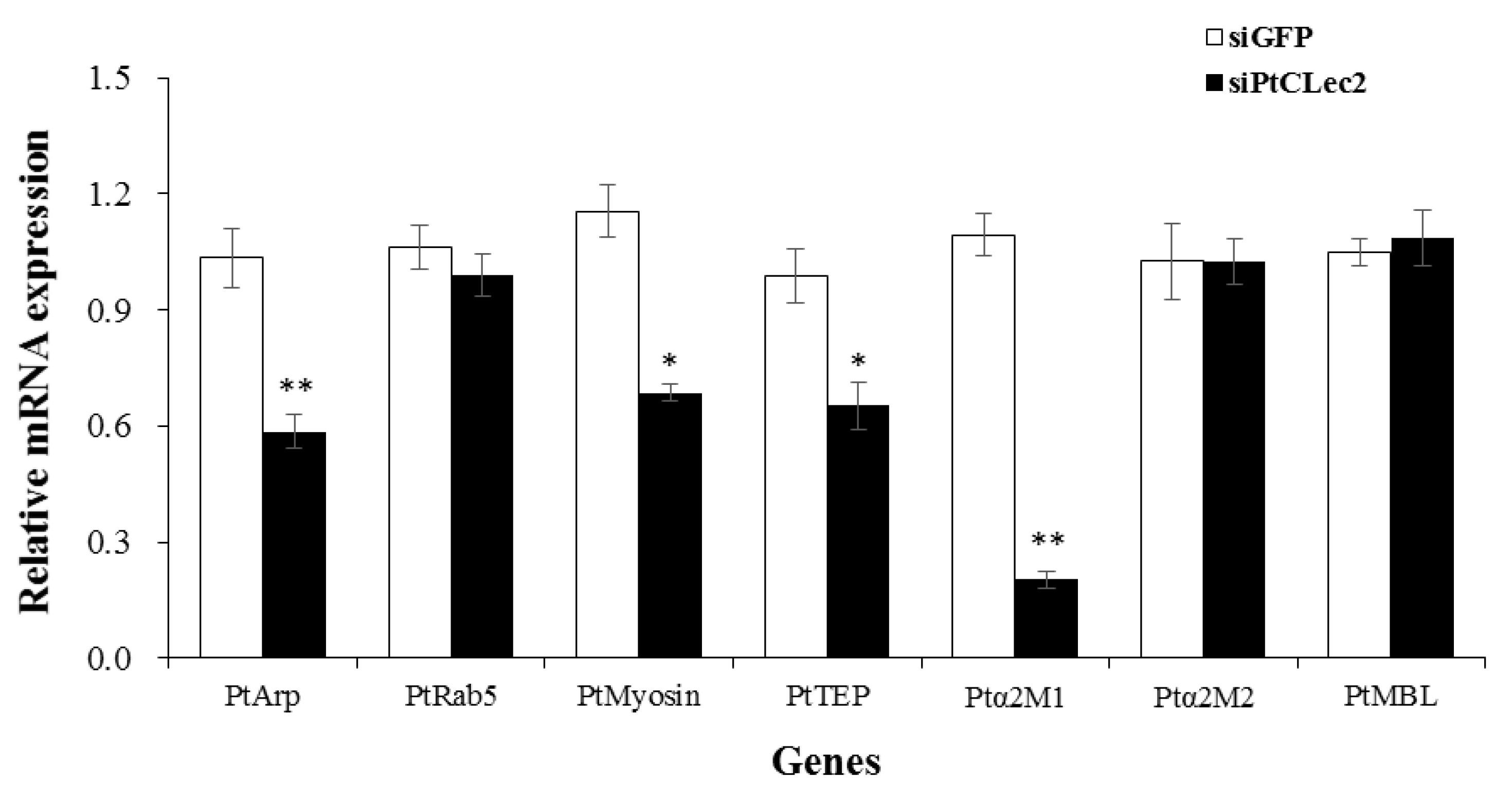 Antibiotics 10 00541 g015 Antibiotics 10 00541 g015