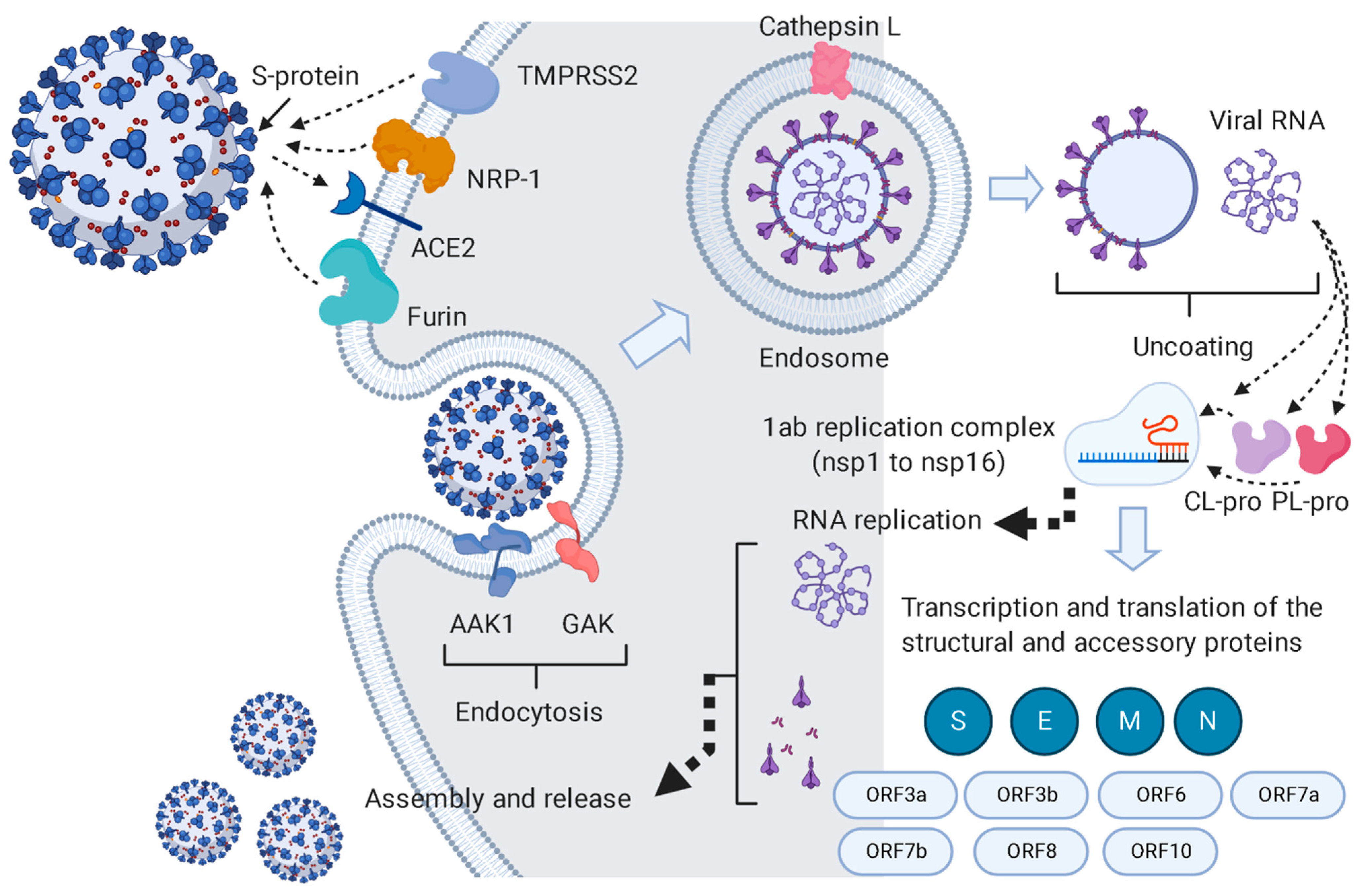 Antibiotics 10 00542 g001 Antibiotics 10 00542 g001