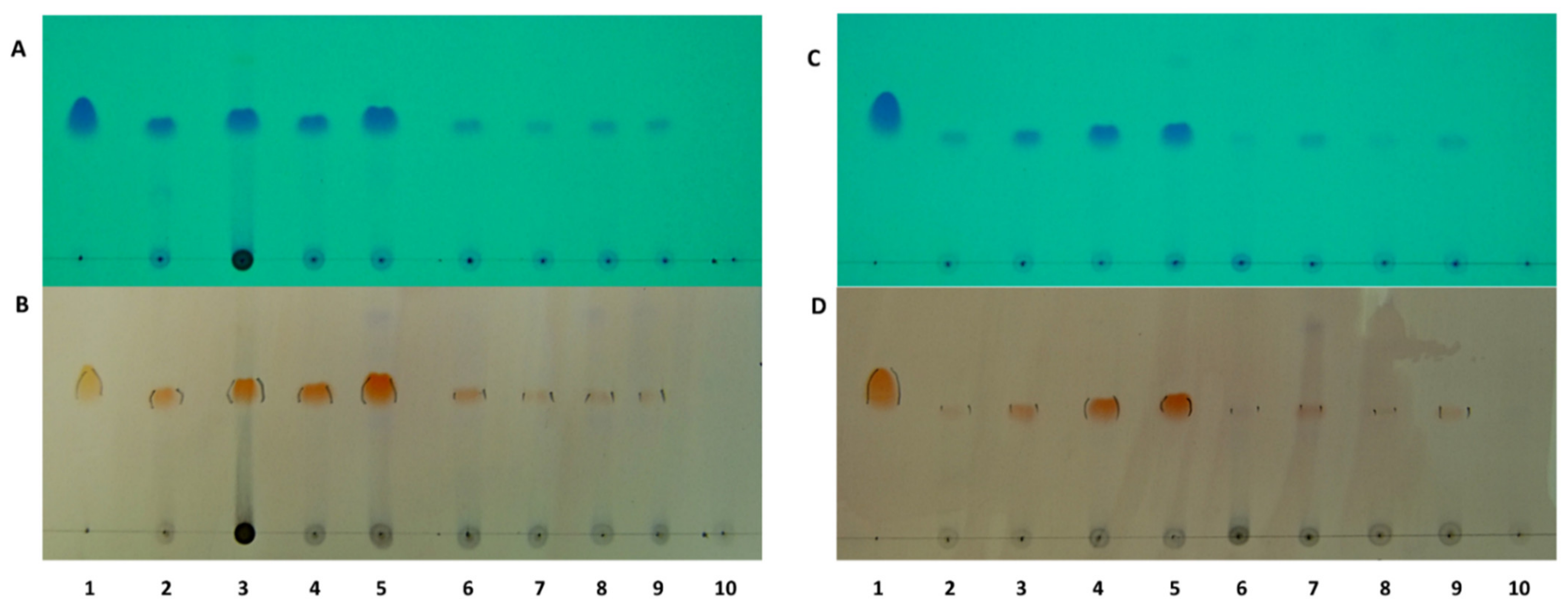 Antibiotics 10 00543 g001