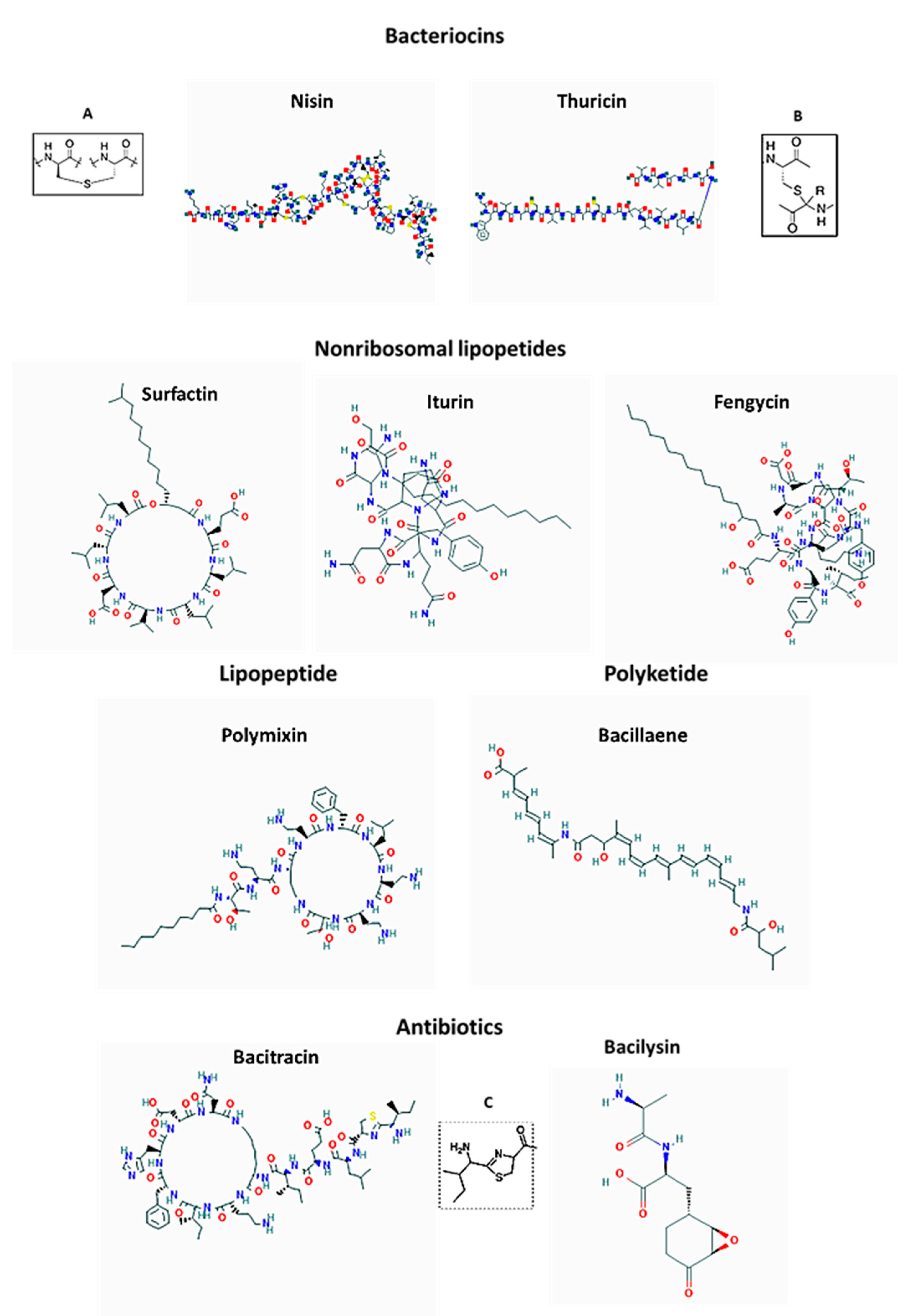 Antibiotics 10 00551 g003