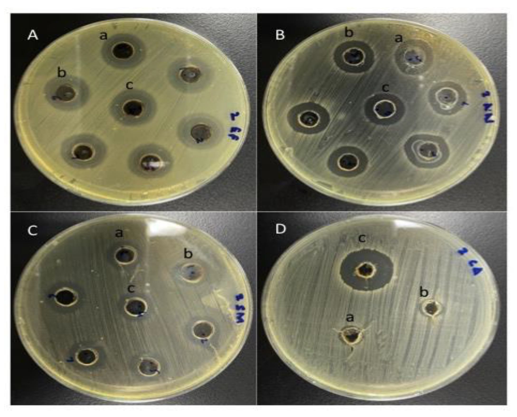 Antibiotics 10 00552 g002 Antibiotics 10 00552 g002
