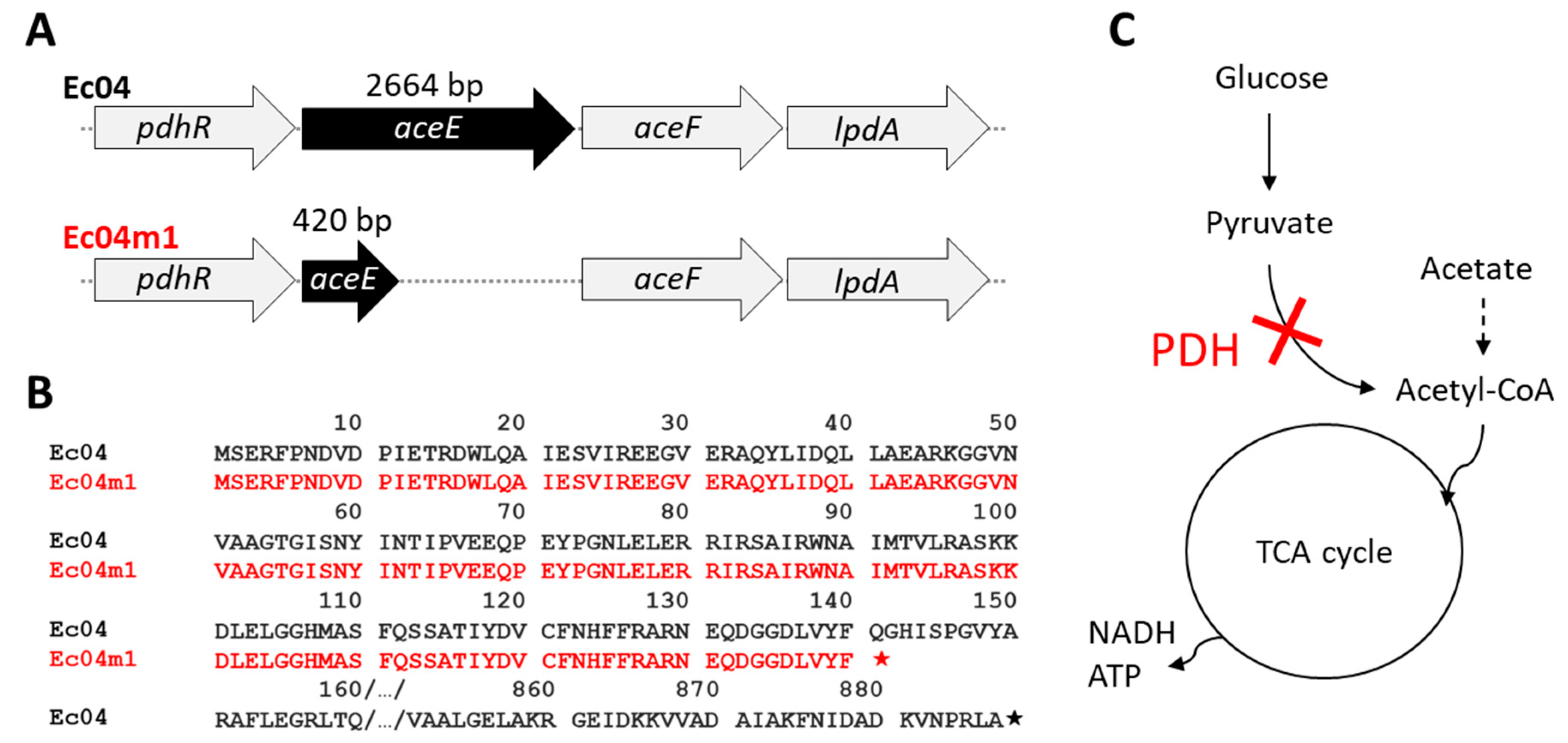 Antibiotics 10 00553 g003