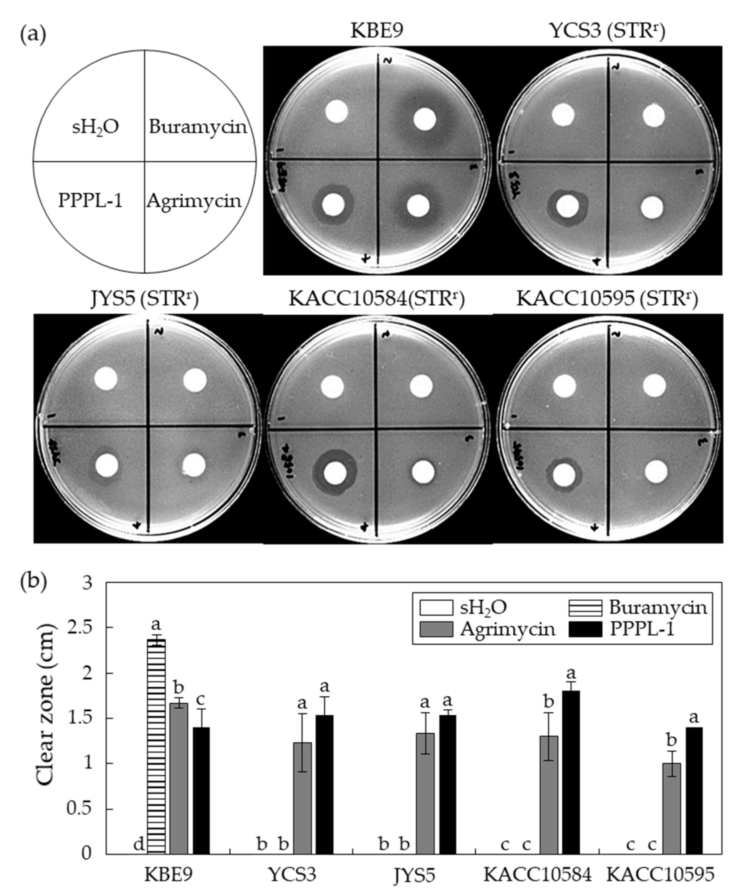 Antibiotics 10 00554 g004 Antibiotics 10 00554 g004