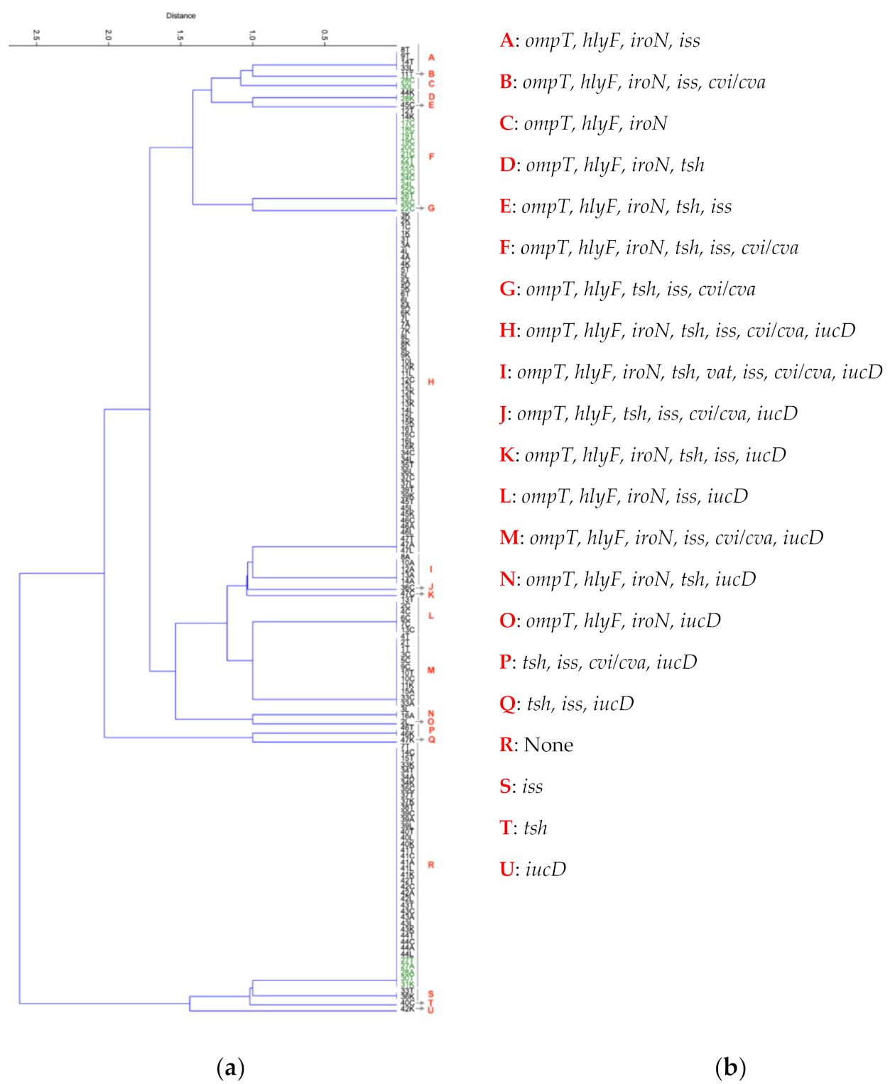 Antibiotics 10 00564 g002