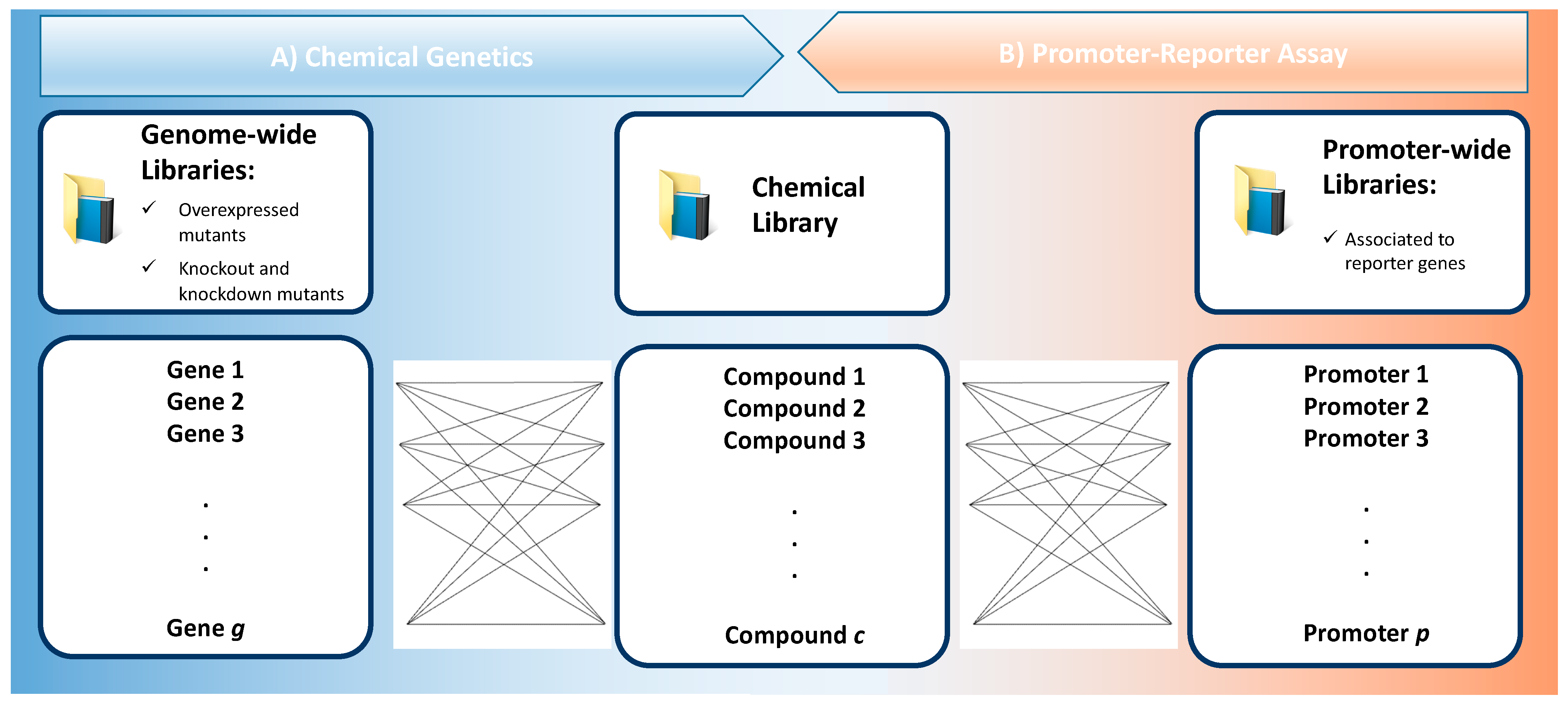 Antibiotics 10 00565 g002 Antibiotics 10 00565 g002