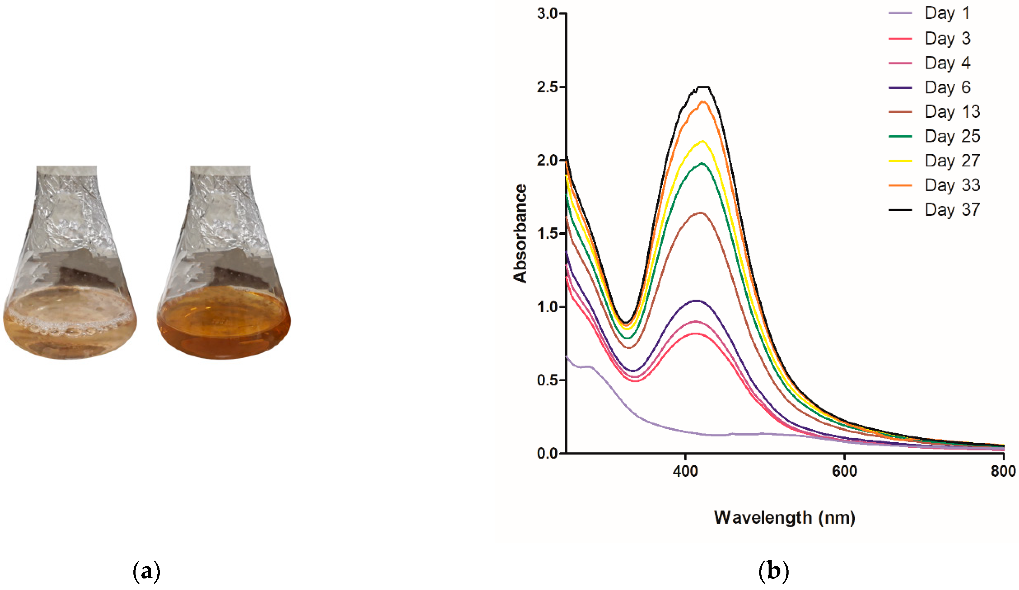 Antibiotics 10 00569 g001a Antibiotics 10 00569 g001a