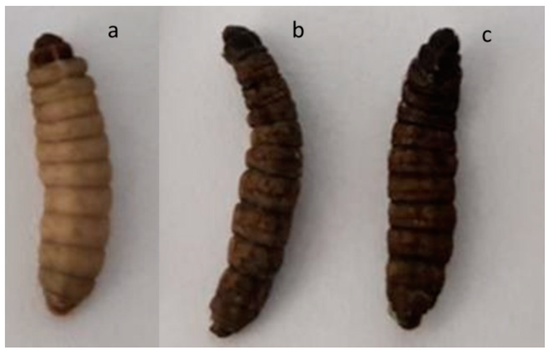 Antibiotics 10 00569 g005 Antibiotics 10 00569 g005