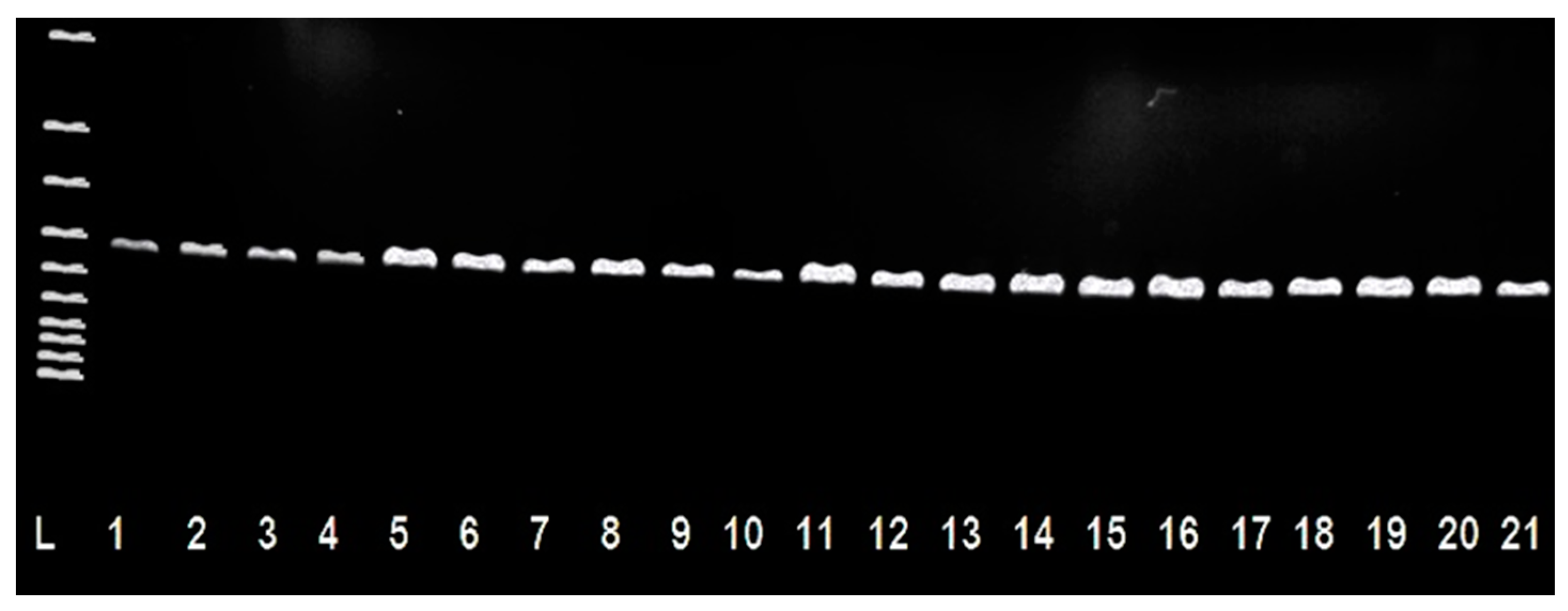 Antibiotics 10 00570 g001 Antibiotics 10 00570 g001