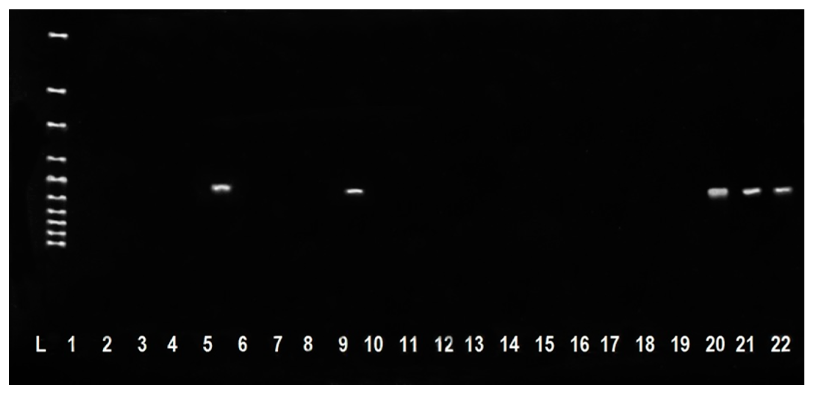 Antibiotics 10 00570 g002 Antibiotics 10 00570 g002